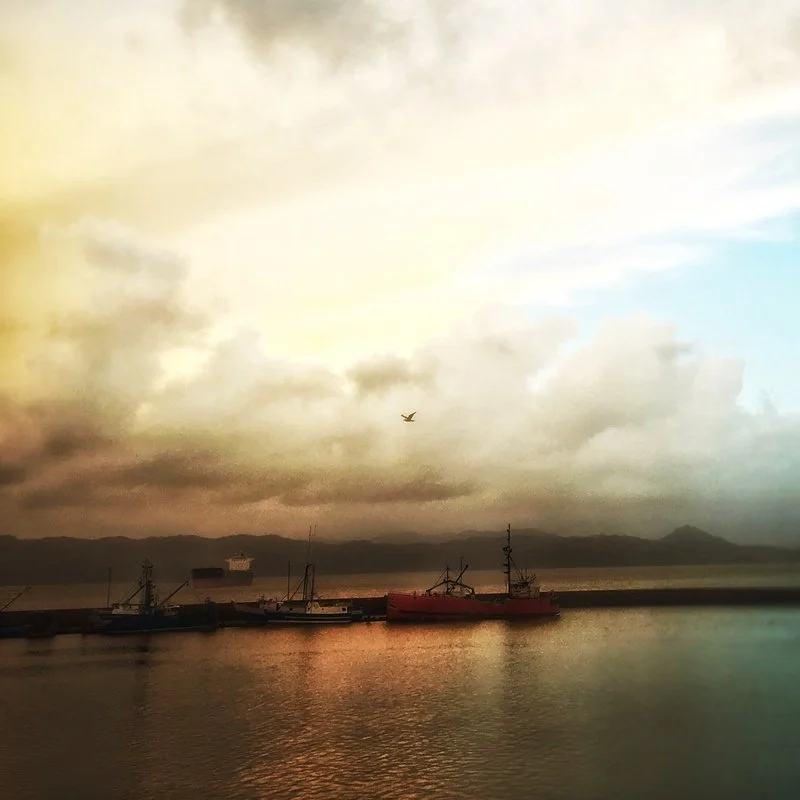 Julie Moore, Seasons & Tides winner