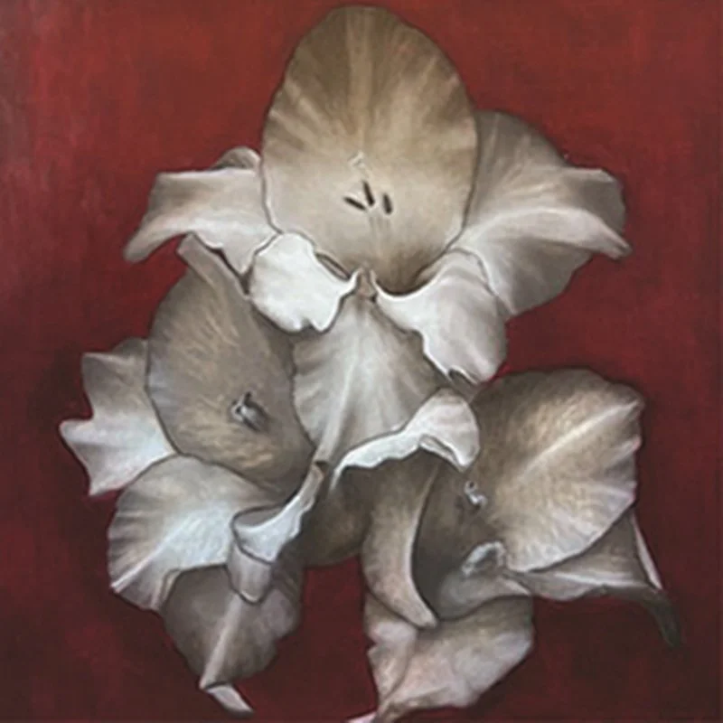 Soriano, Crimson Gladiolus