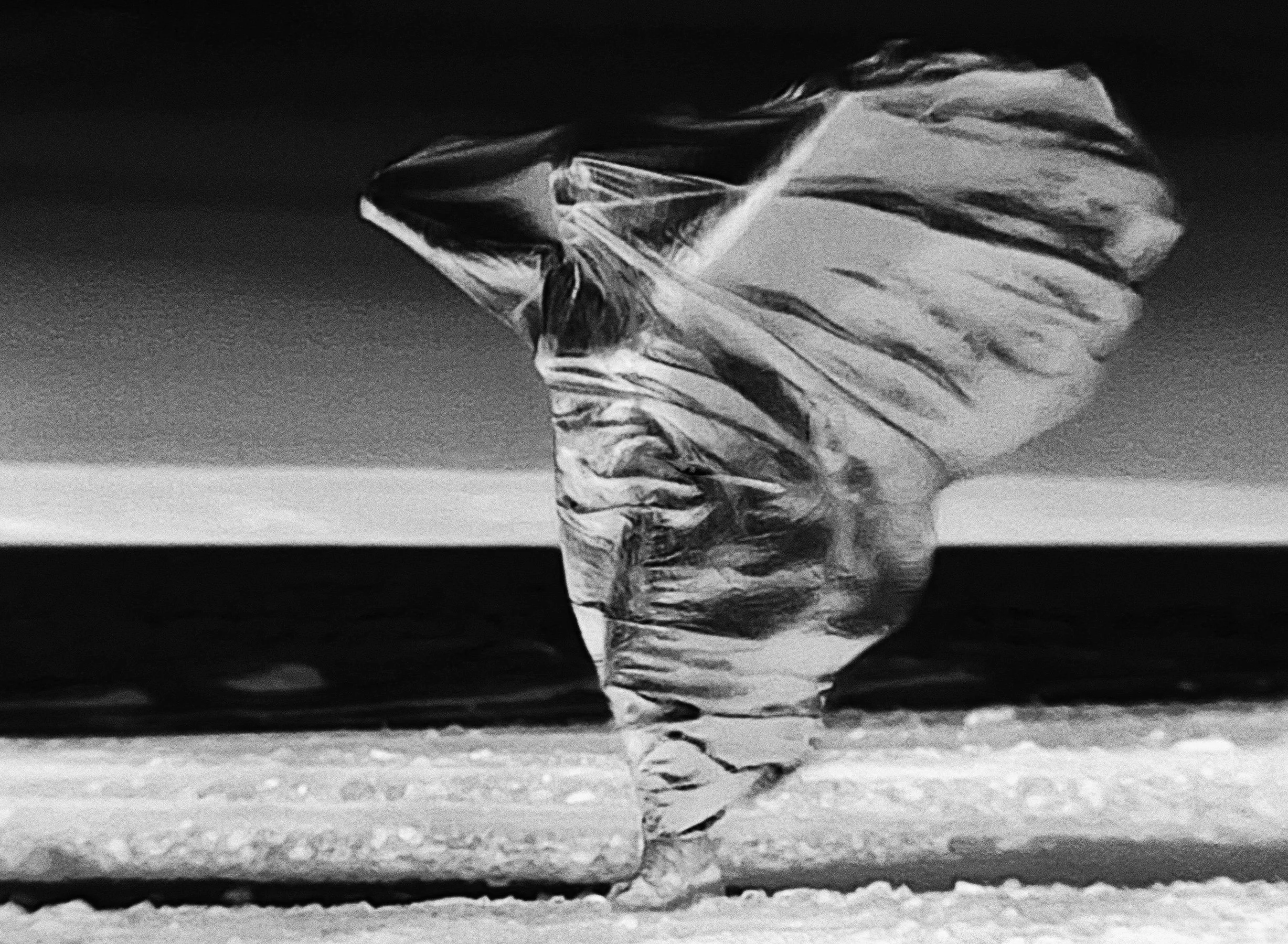 Thanatopsis: Contemplations on Death, Grief, and Renewal, Sept 21-Oct 22