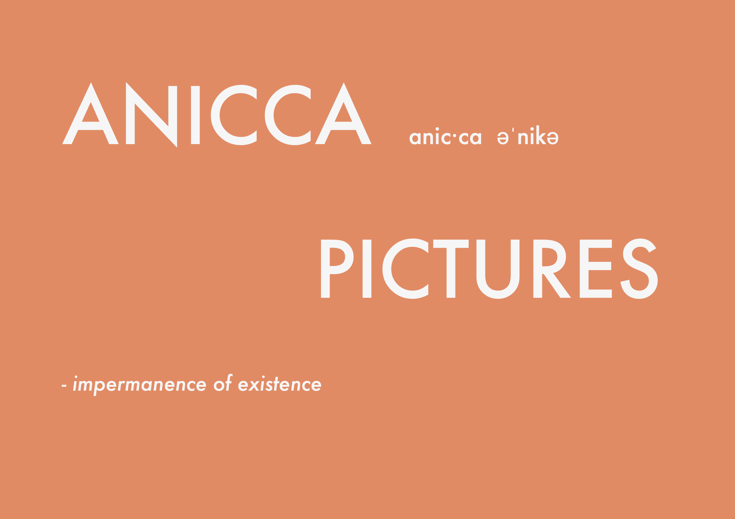 ANICCAPICTURES_Logo - Orange.png