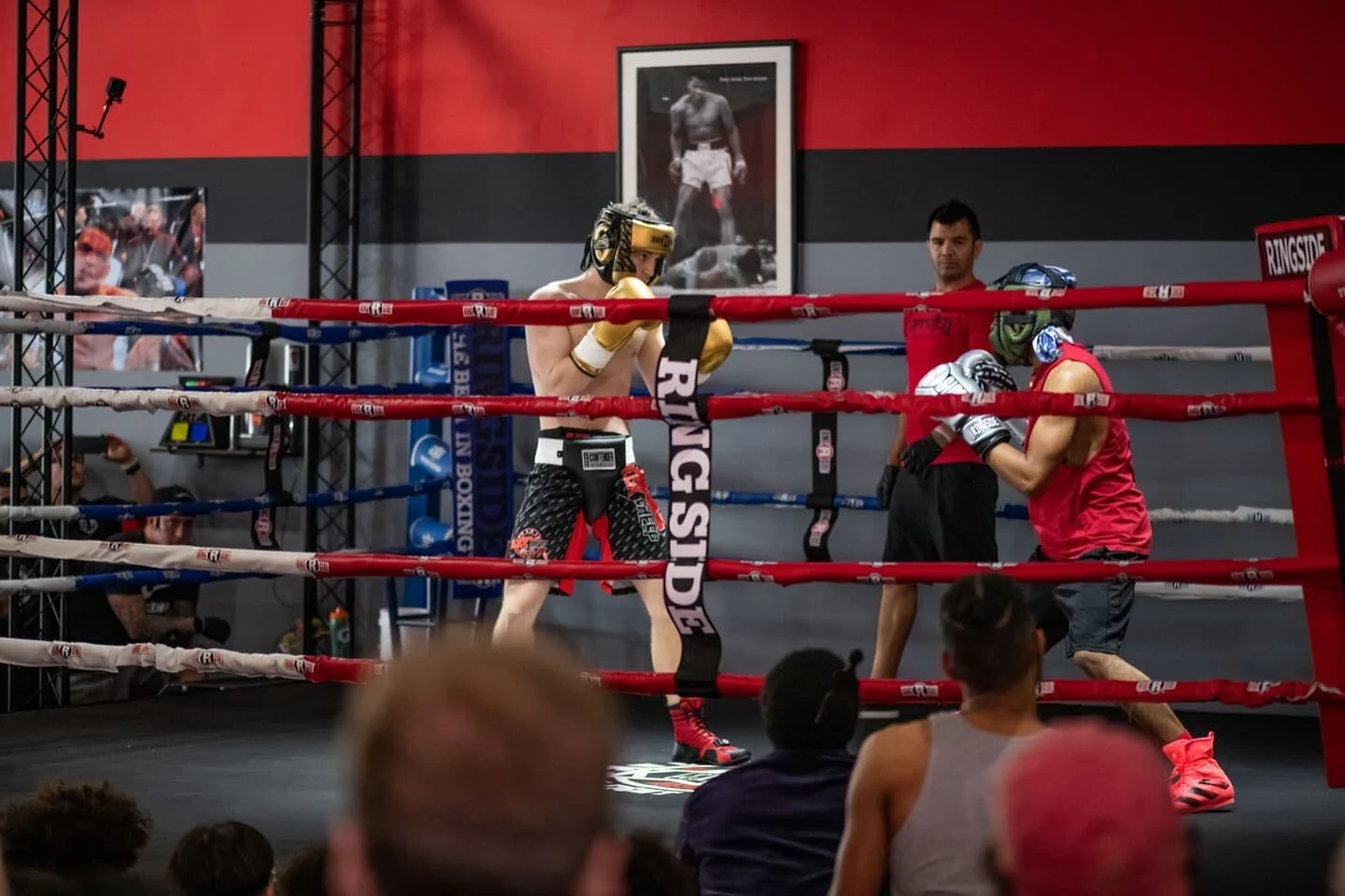 Programs — Black Sheep Boxing, MMA & Muay Thai