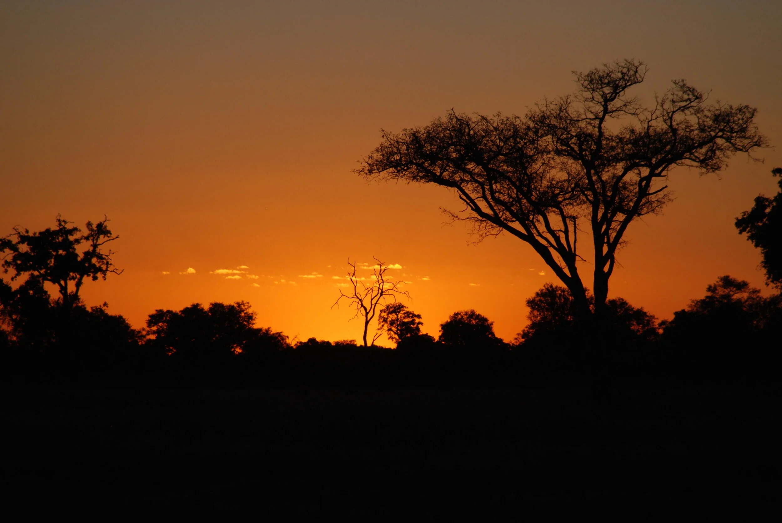 BUCKET CHECK: THE PERFECT TIME FOR AFRICA IS NOW