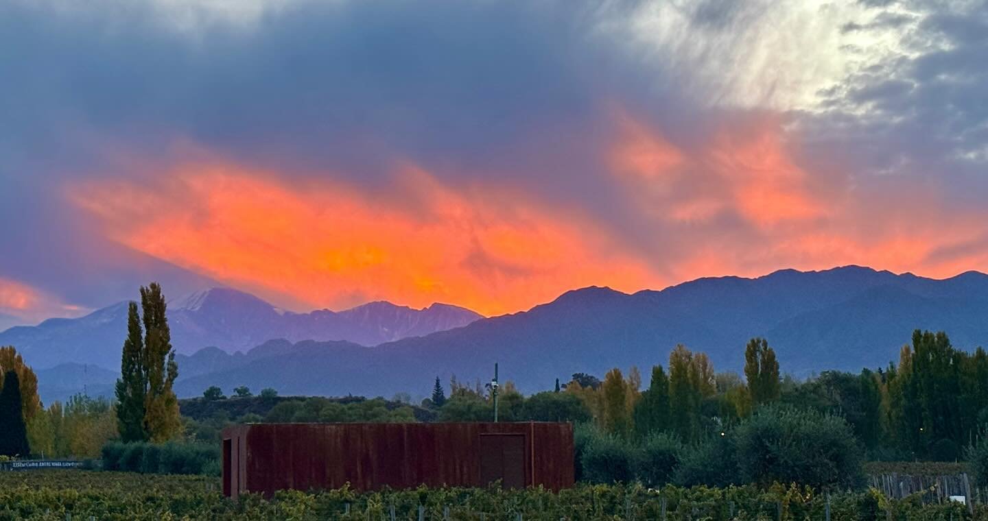Where will you celebrate life&rsquo;s milestones? Lucky clients are enjoying  their 10th wedding anniversary with this view from a boutique suite in Mendoza, Argentina. Explore, Taste, Spa, Repeat! Whose next?

#winelover #luxurytravel #adultswim #ro