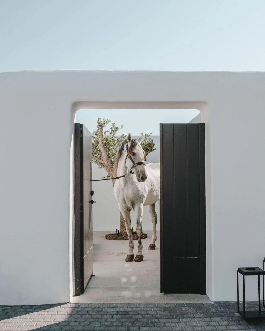 Horses on a Mykonos hillside, a cave pool, and views across the Aegean. Kalesma is 22 suites above Mykonos Town, most with private pools, and close enough to walk to everything.

Ready for Greece? We love pairing Mykonos with an off-the-beaten-path i