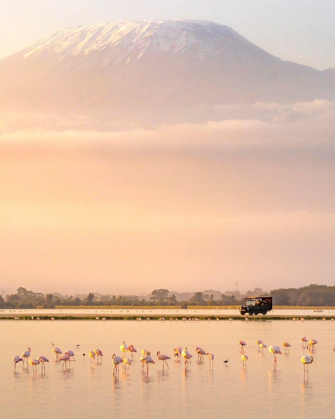 There is no single best safari. There's only the one that fits how you travel.

The Big Five are still the reference point most people use, but safaris have come a long way. Conservation reserves, astro-safaris, gorilla trekking, water-based explorin