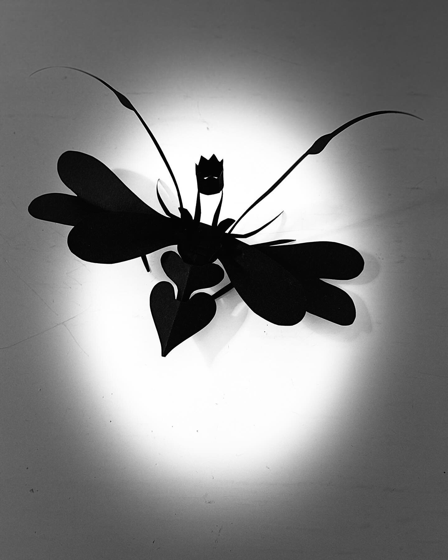 Bredt vingefang og stort hjerte - en art som vi skal v&aelig;rne om. F&aring; af dem har krone p&aring;, de er sj&aelig;ldne, men sejlivede!
.
congratulations to our wonderful King, his Queen and their beautiful family.

#paperbug#paperart#longliveth