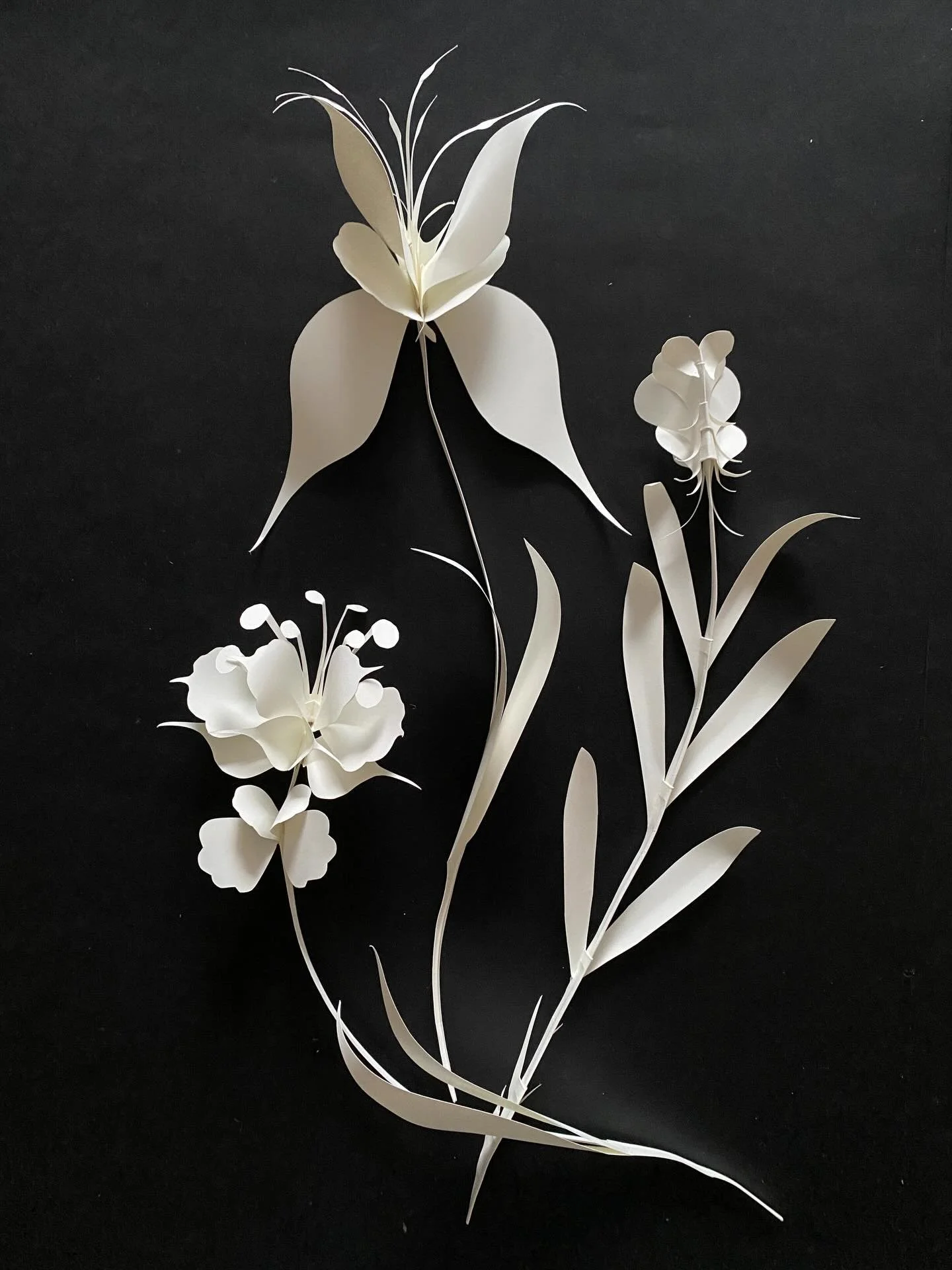 Bare blomster og l&aelig;ngsel efter for&aring;r
Fra arkivet.

#paperflowers #munkenpure #backtobasics #papirklip #charlottes&oslash;eborgohlsen