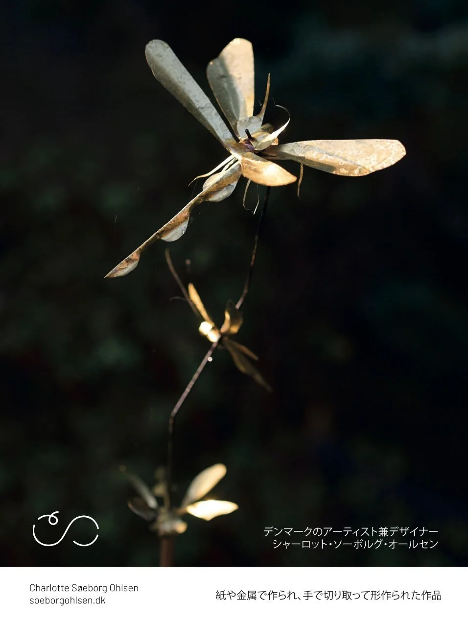 Snart er jeg i Japan igen og jeg gl&aelig;der mig!

Se link i bio

2/21/22/23 (Sat, Sun, Mon) 14:00&ndash;15:00
NICOLAI BERGMANN &amp; CHARLOTTE S&Oslash;EBORG OHLSEN &ndash; GUIDED TOUR

A guided tour of the gardens, where you can see works by @nico