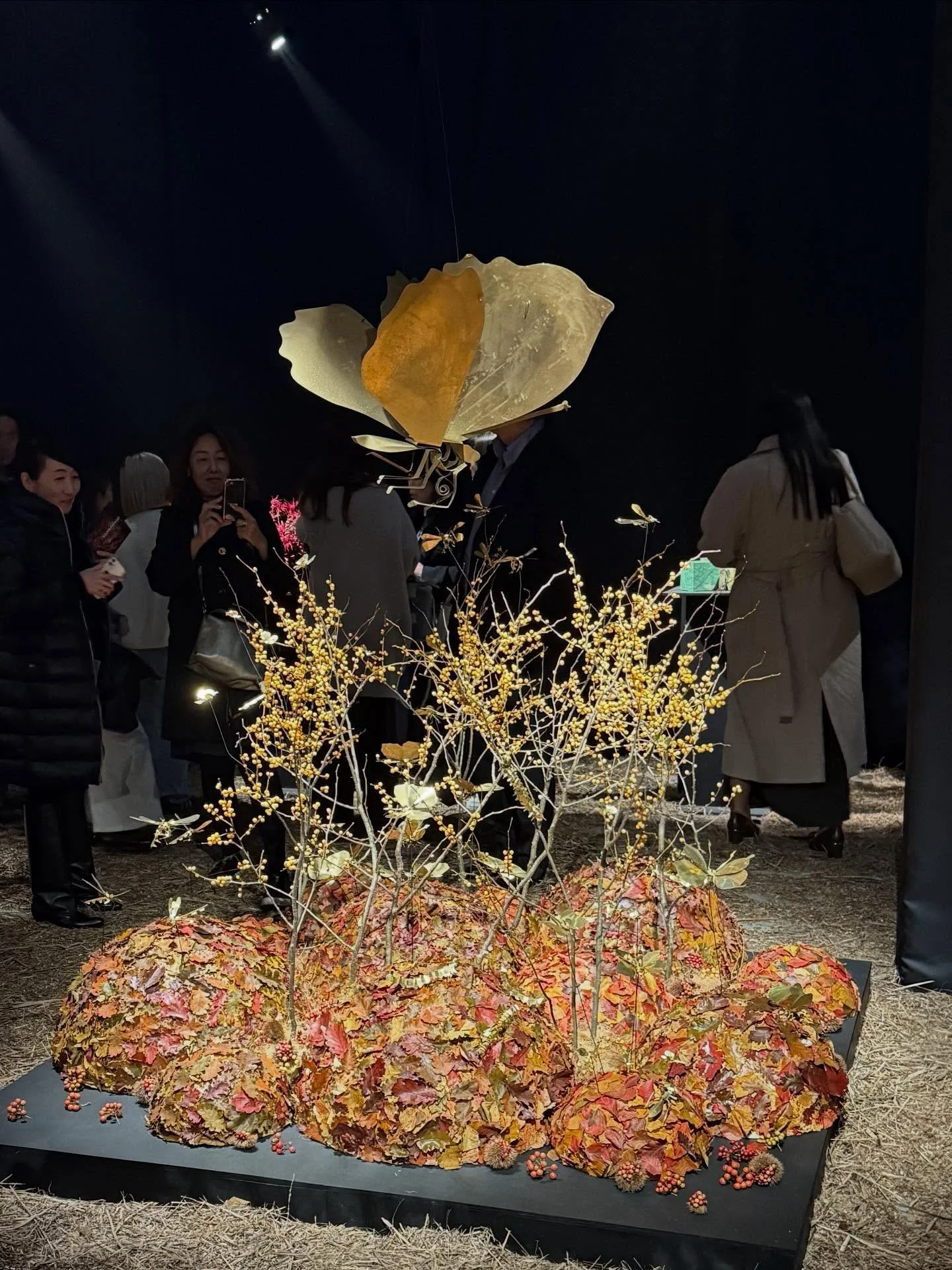 KUMIAWASE - VIP opening Tuesday evening - wauw what a day, what a fantastic exhibition and how lucky do I feel being part of @nicolaibergmann &lsquo;s 25 years jubilee?!

Nicolai had prepared this autumn-colored beautiful KUMIAWASE / - and my insects