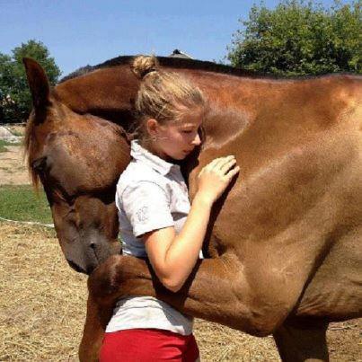 Horse hugs.jpg