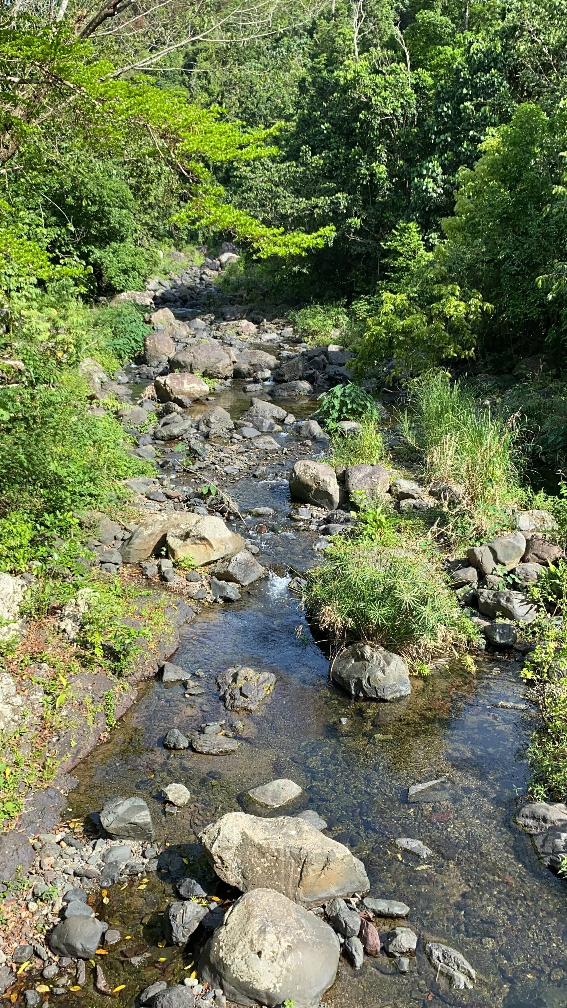 Orocovis, Puerto Rico