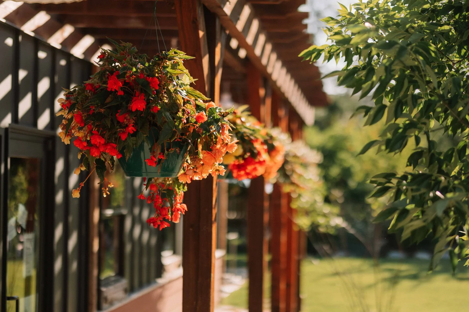 The Patio at Rattlesnake Market
