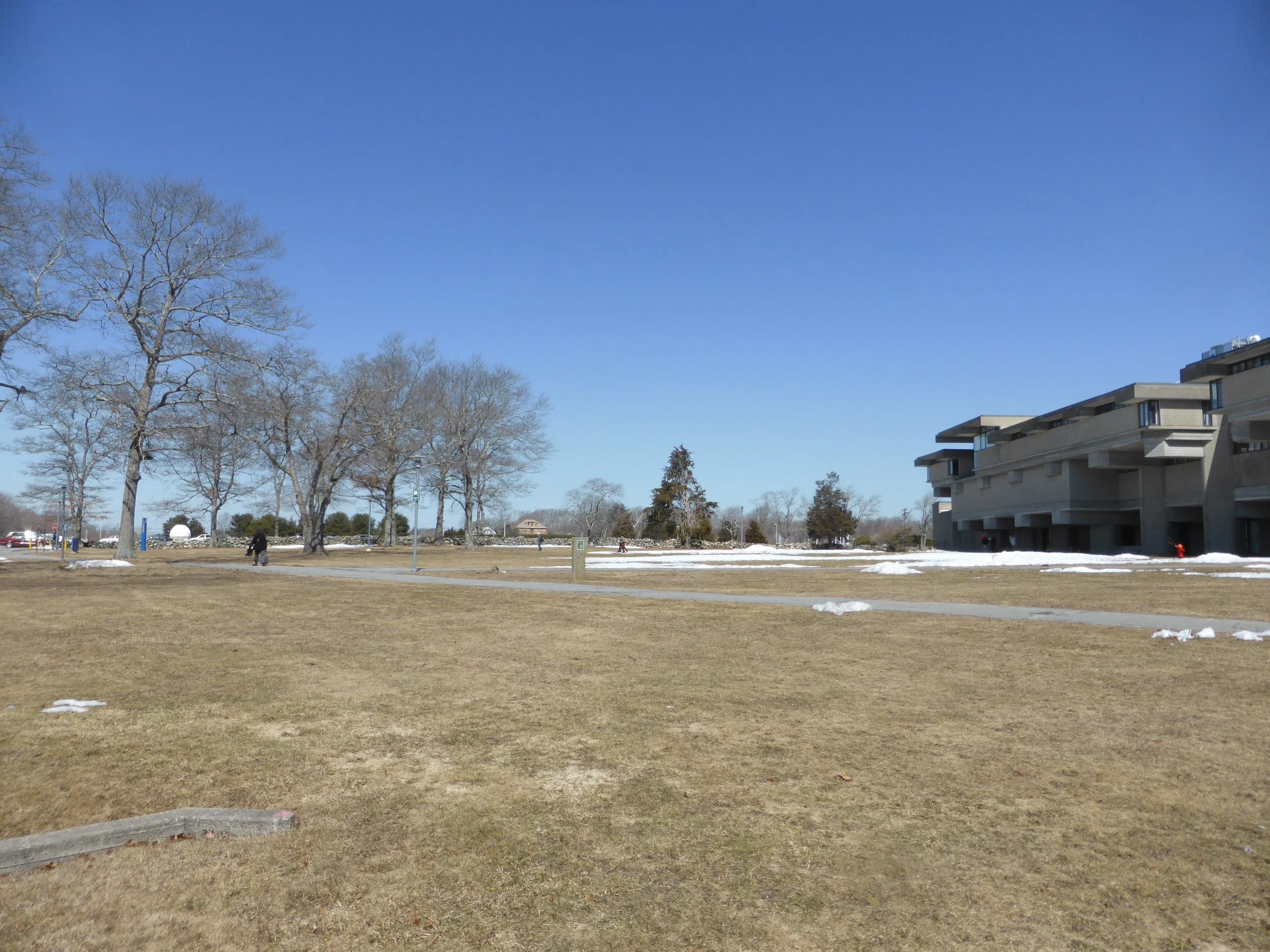 Copy of Lawn at SENG.jpg