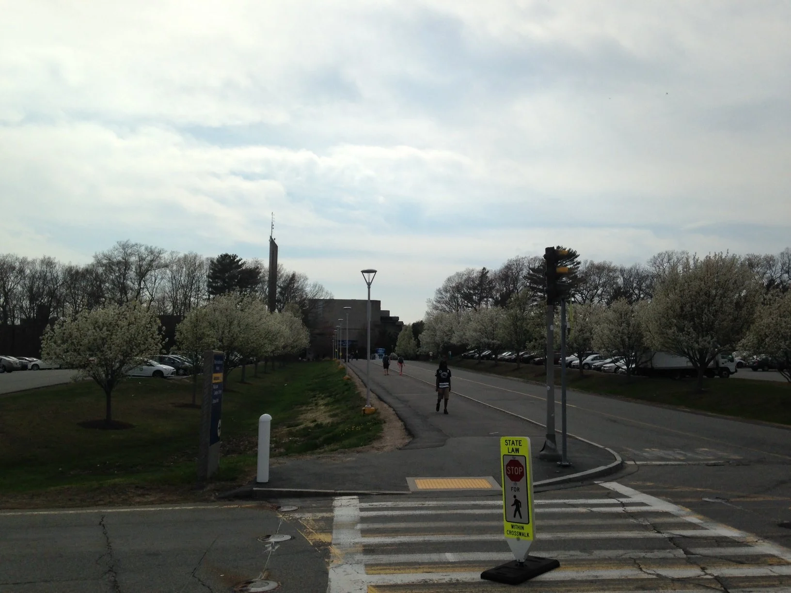 Copy of View along Centennial Way.jpg