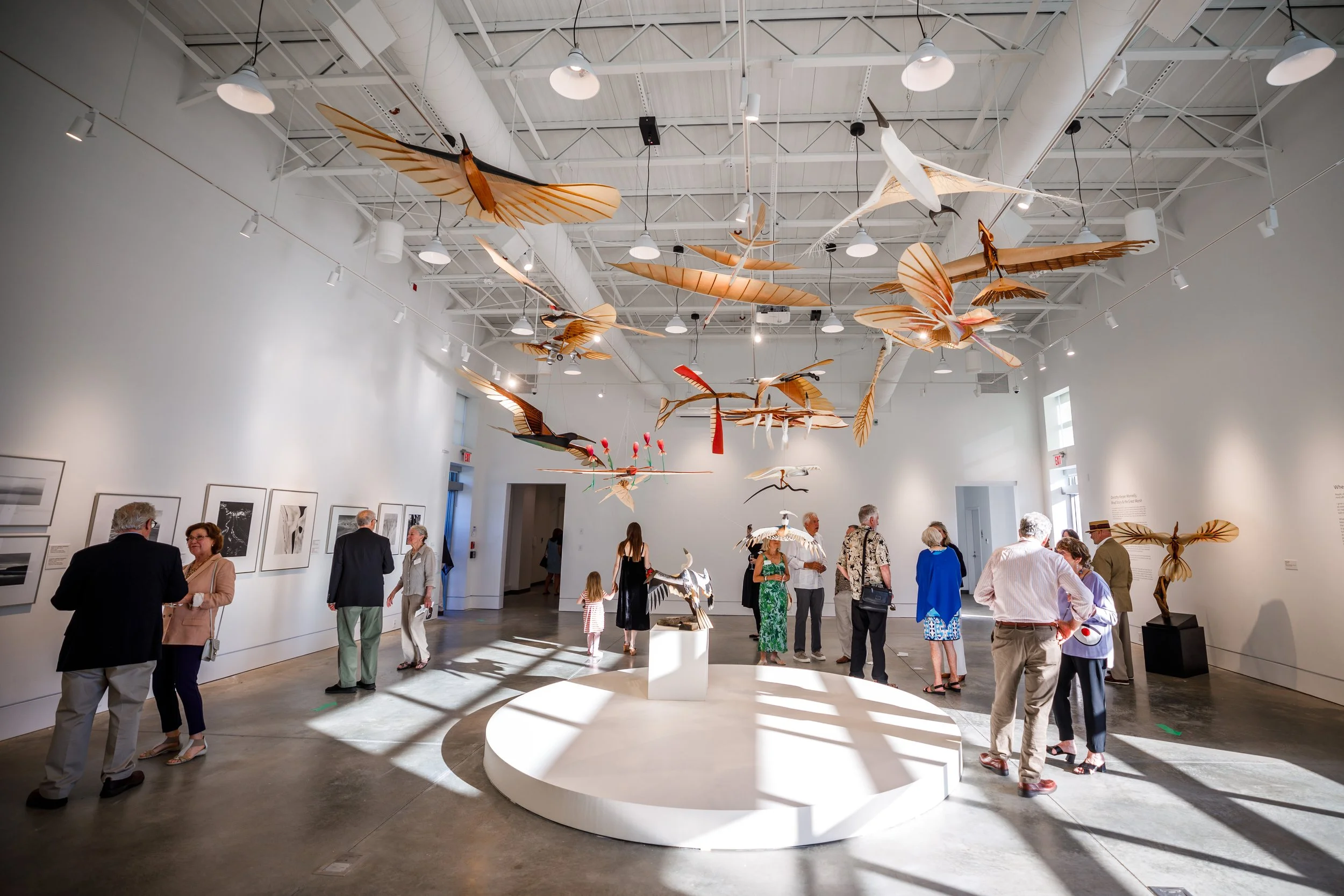 cape ann museum: james center