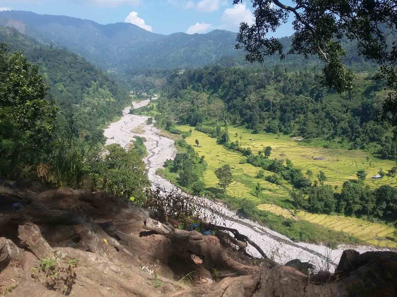 South East Nepal: Restoring Previously Forested Land In Jhapa — PerkEarth