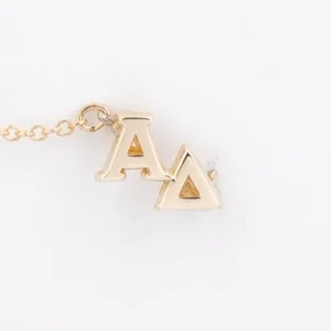 Chapter Guards — Shop — Fourteen Karat Plus, Inc.