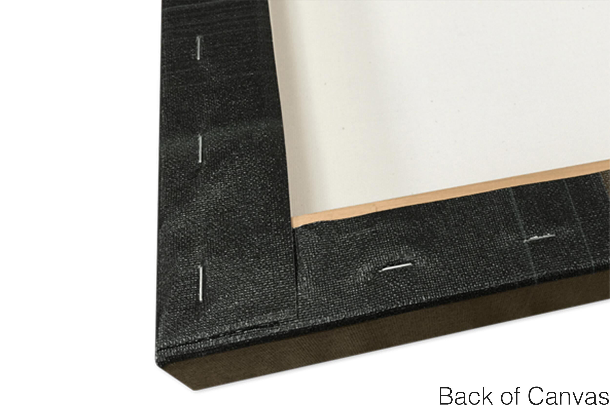 canvas-back-1.jpg