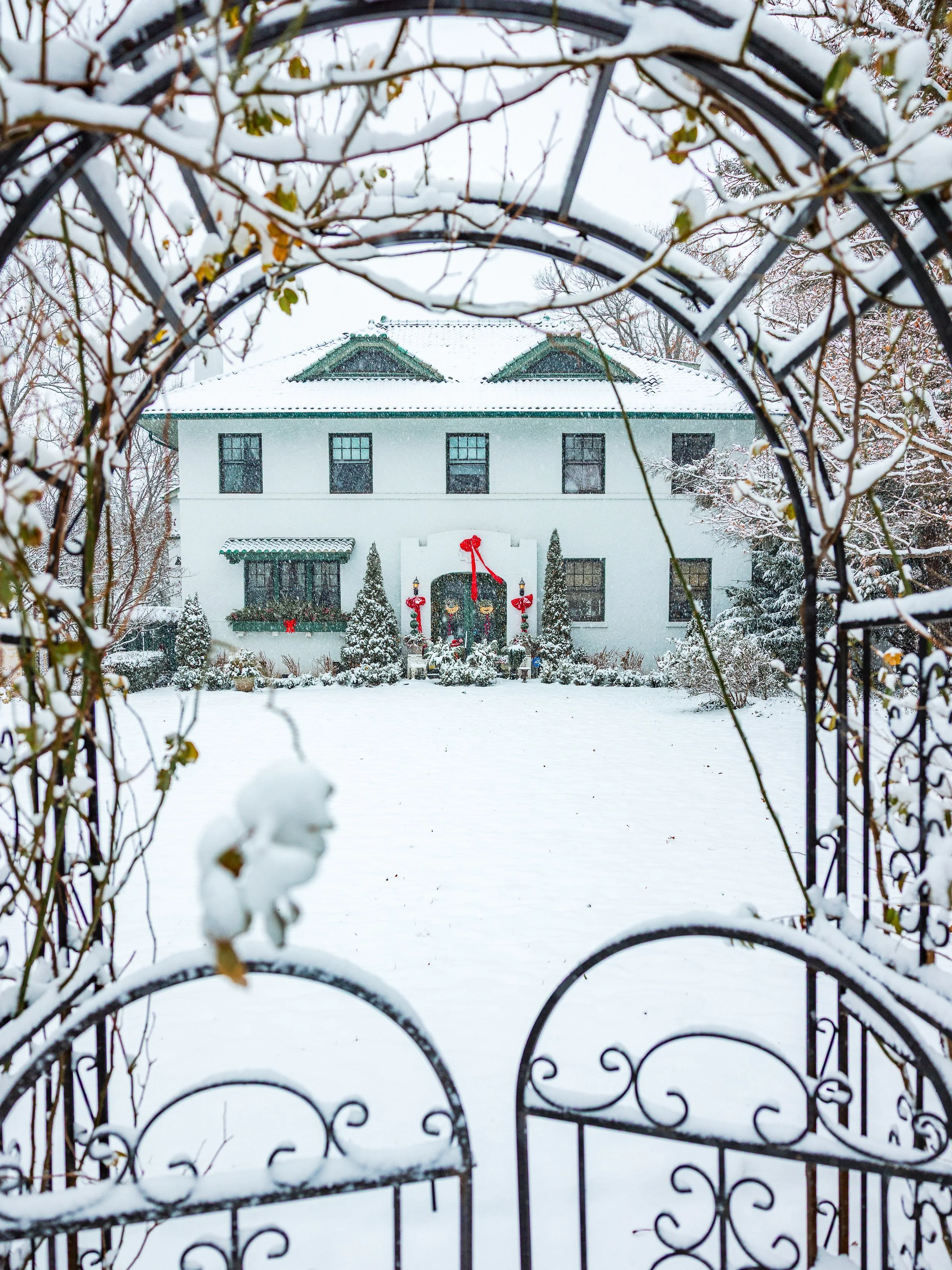 untitled-17 copy.jpg