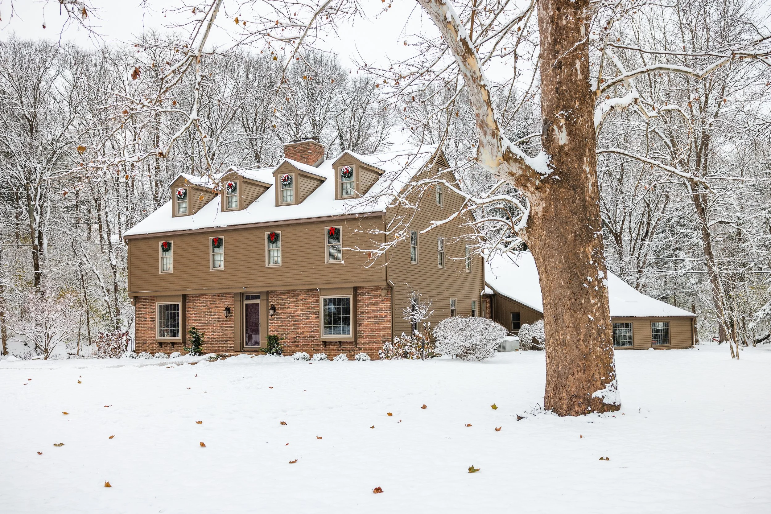 untitled-29 copy.jpg