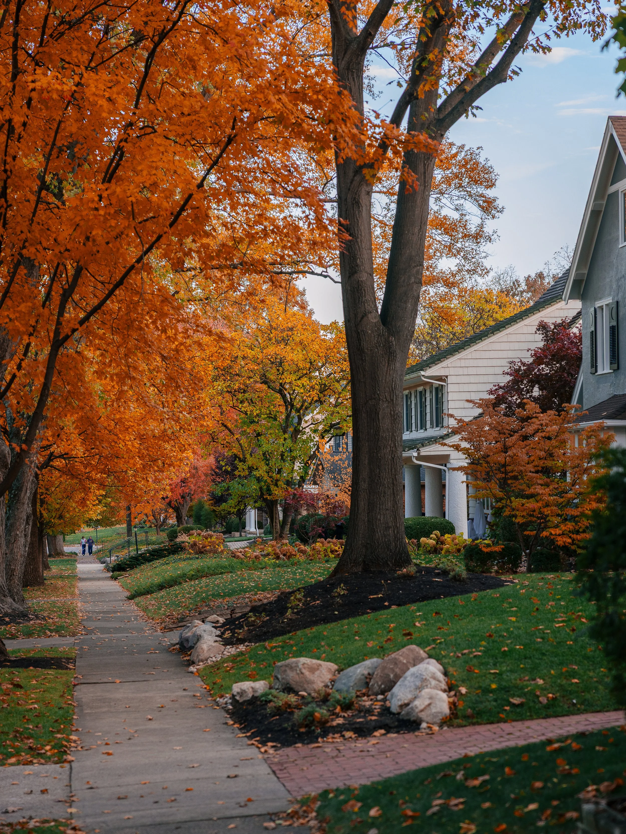 untitled-28 copy.jpg