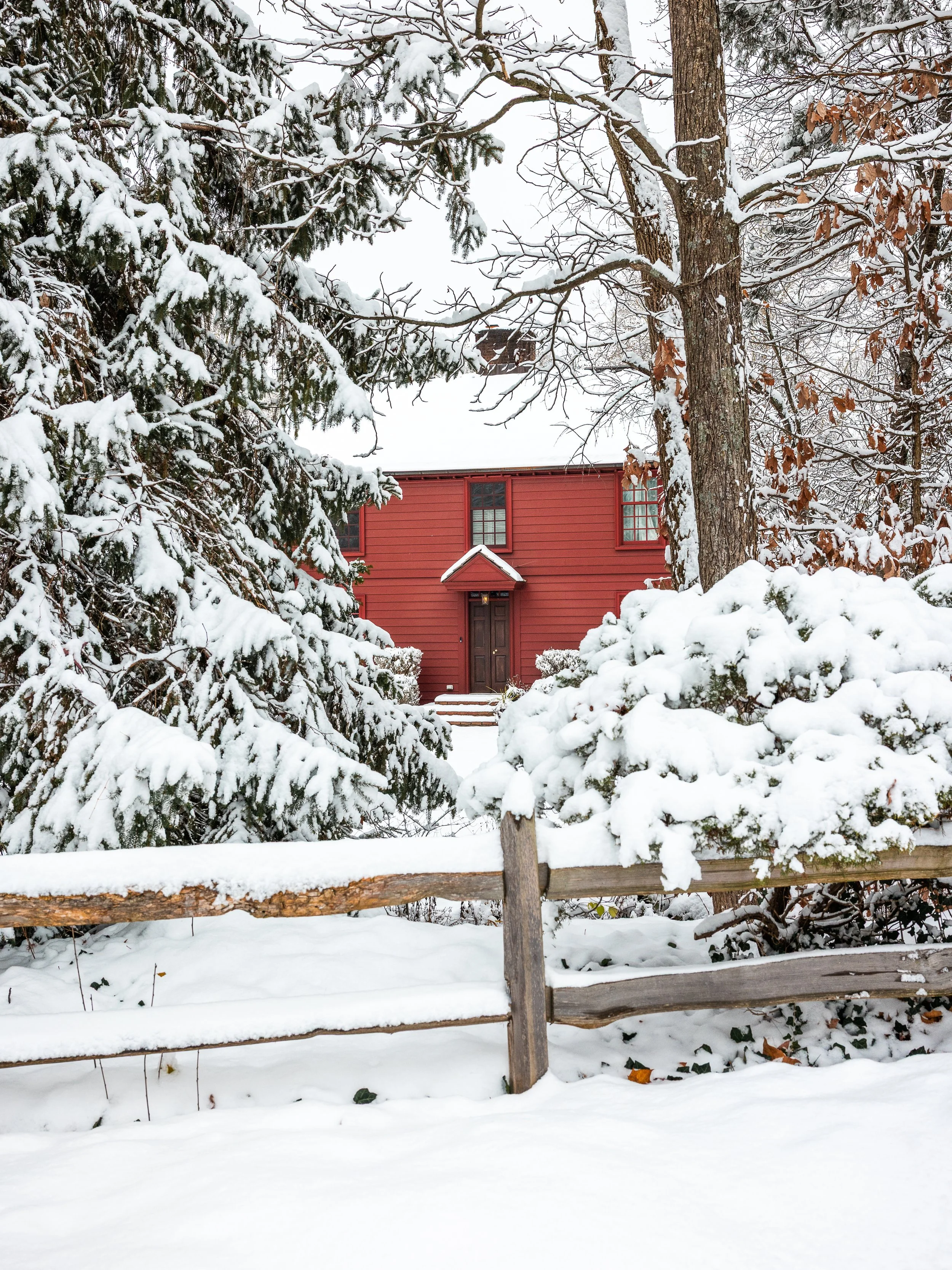 untitled-23 copy.jpg