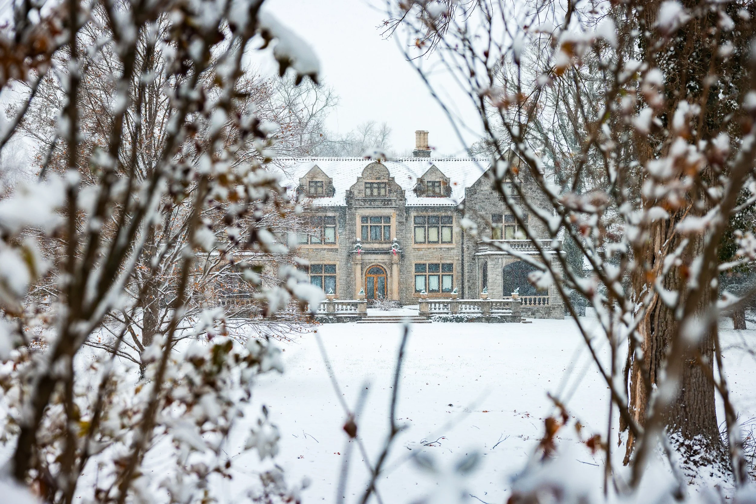 untitled-20 copy.jpg