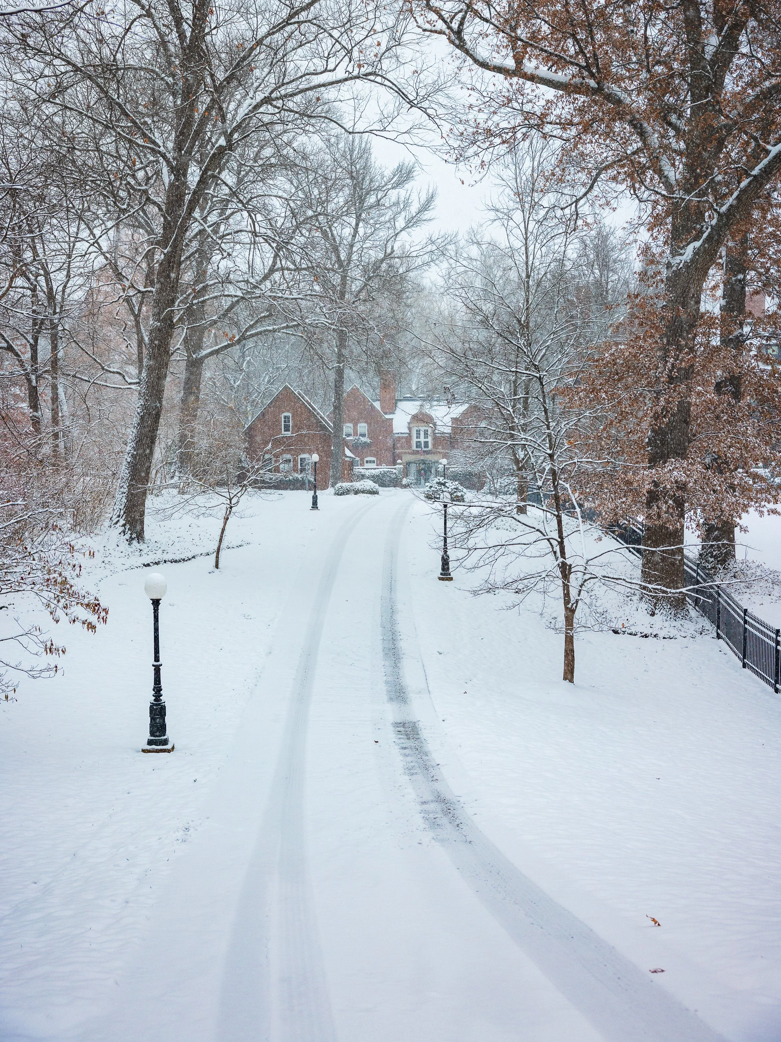 untitled-23 copy.jpg