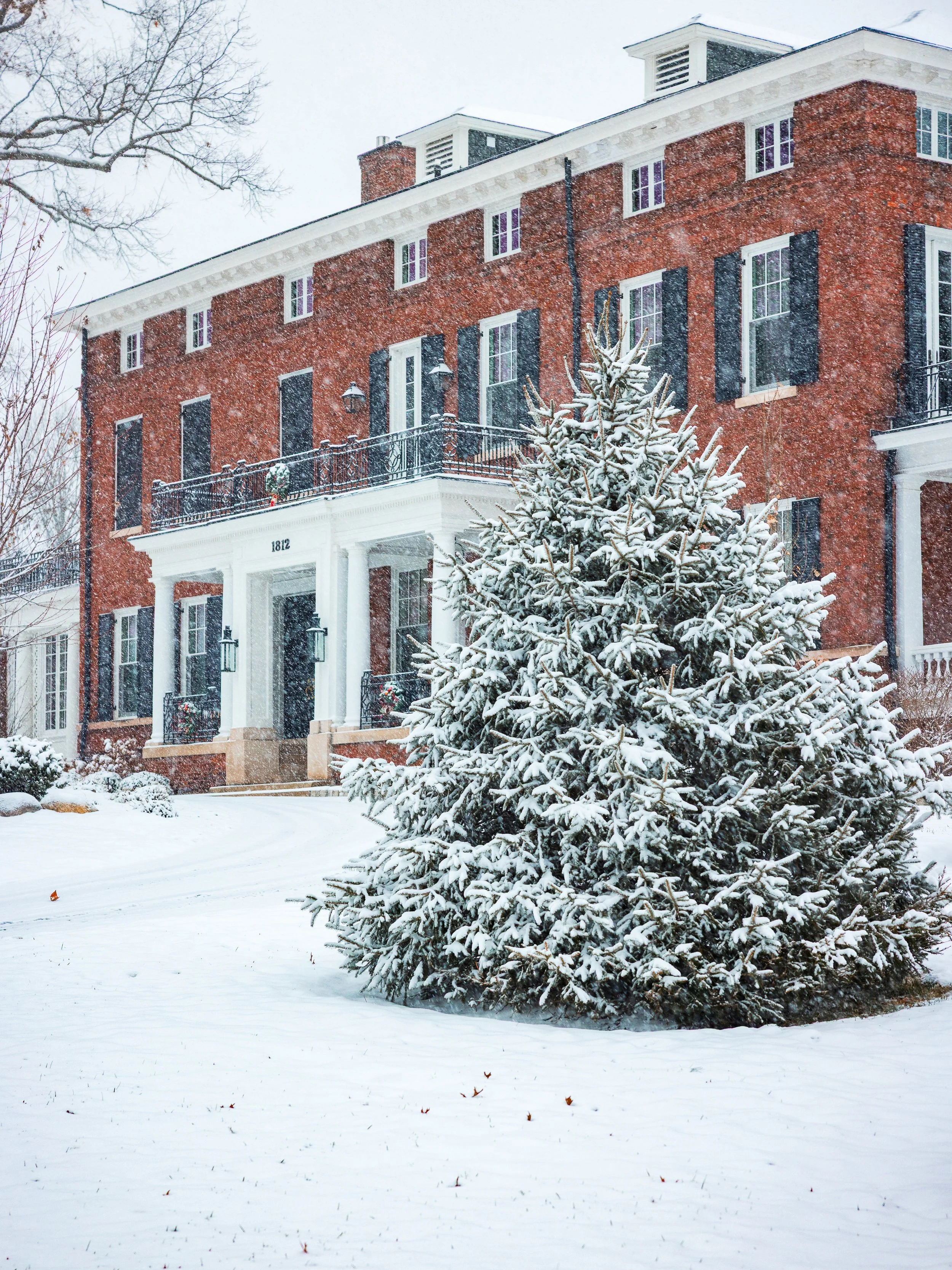 untitled-27 copy.jpg