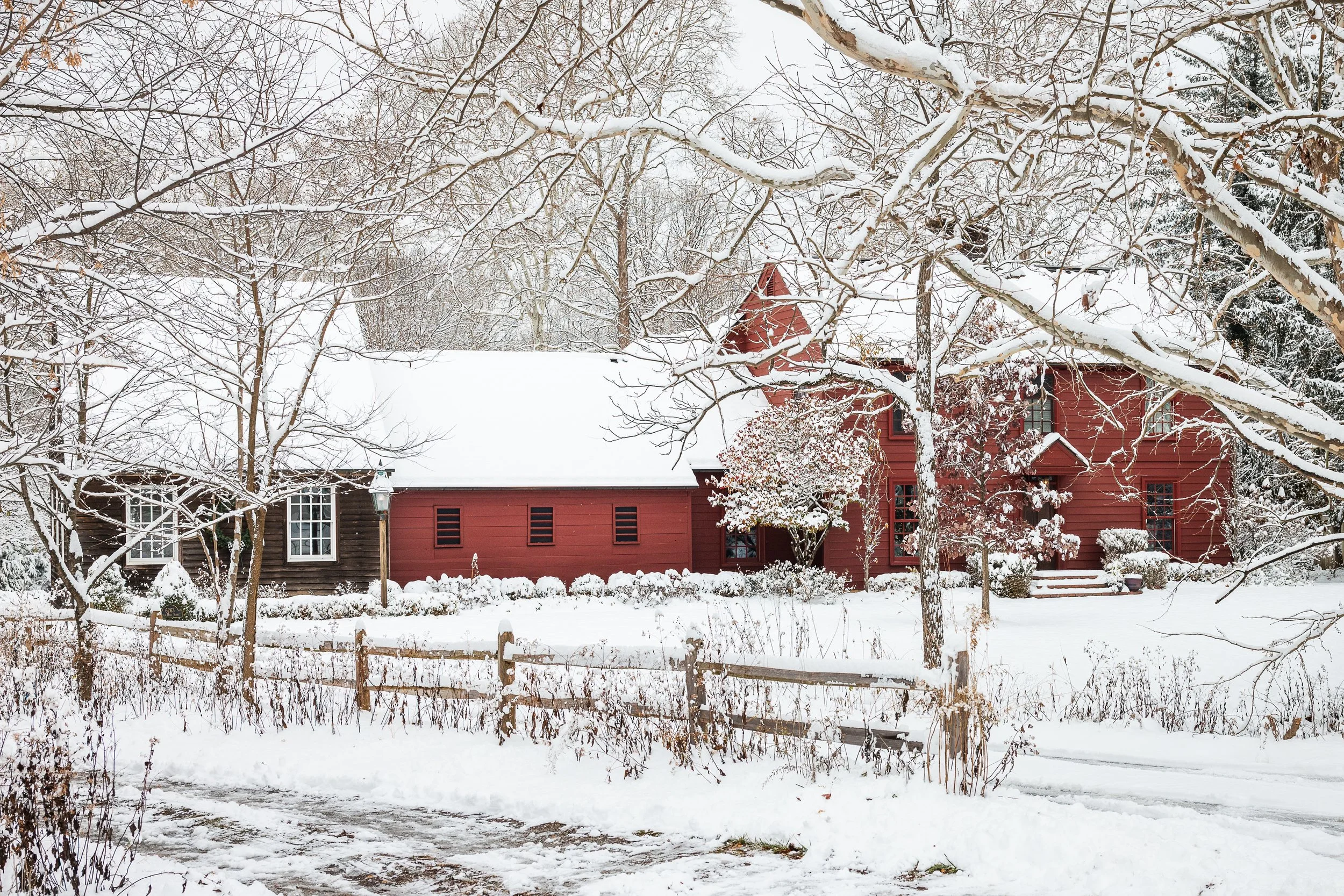 untitled-21 copy.jpg