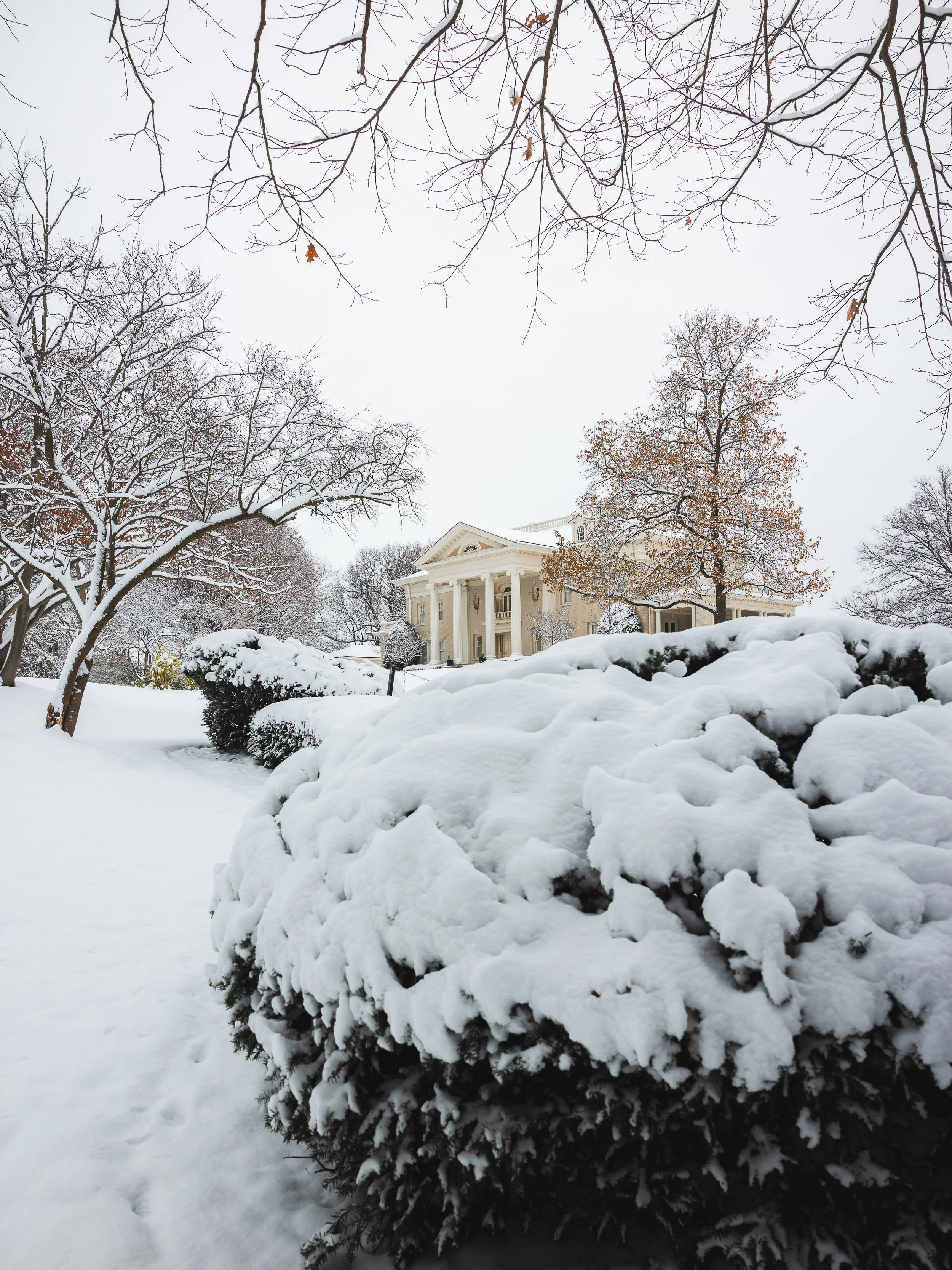 untitled-66 copy.jpg