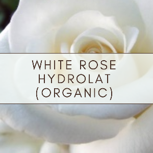 Rose (White) Bulgaria Hydrolat (Hydrosol)