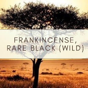 Frankincense (Rare Black) Essential Oil