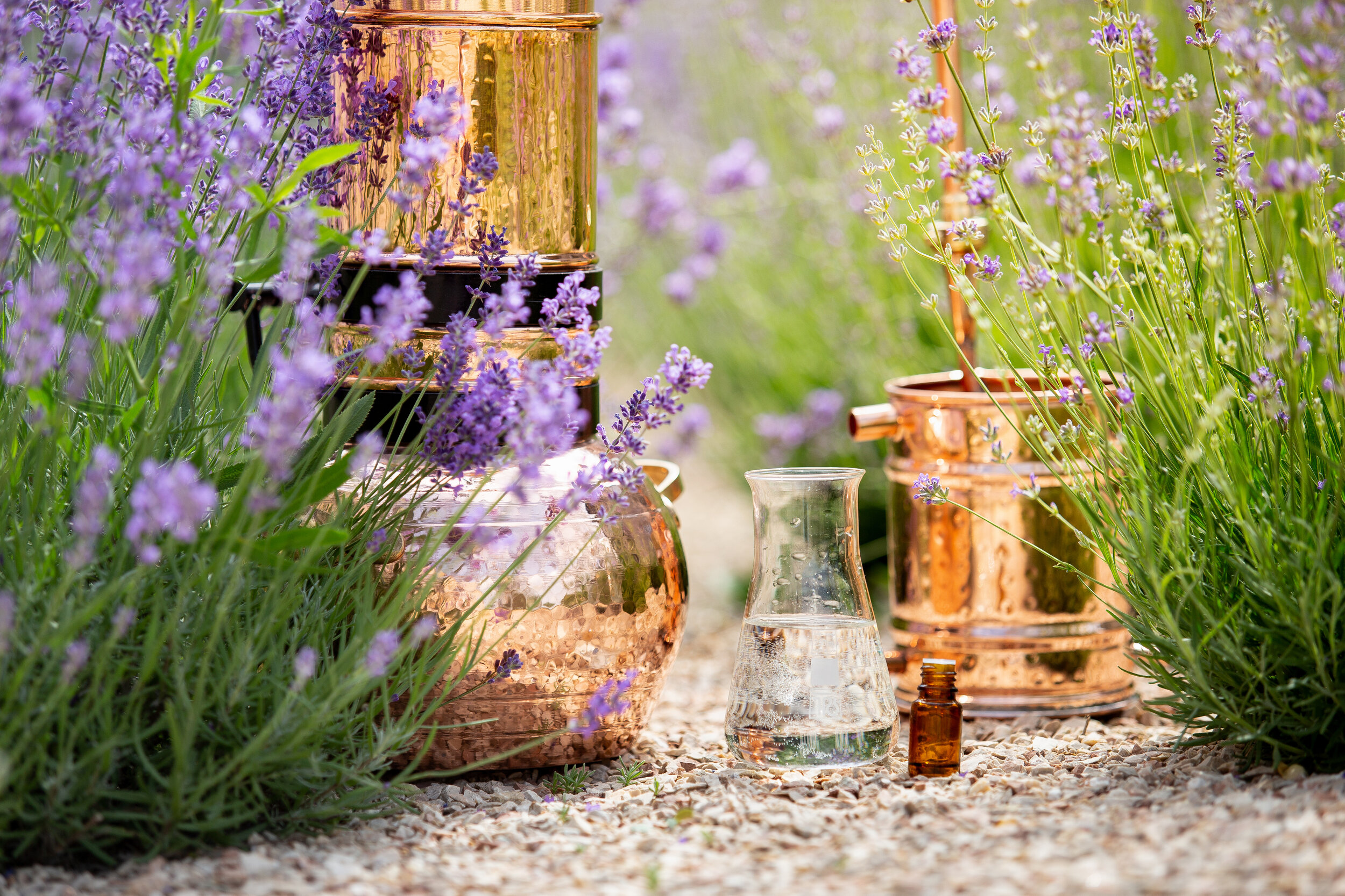 Shop Essences from Wisdom of the Earth — Hands of the Heart