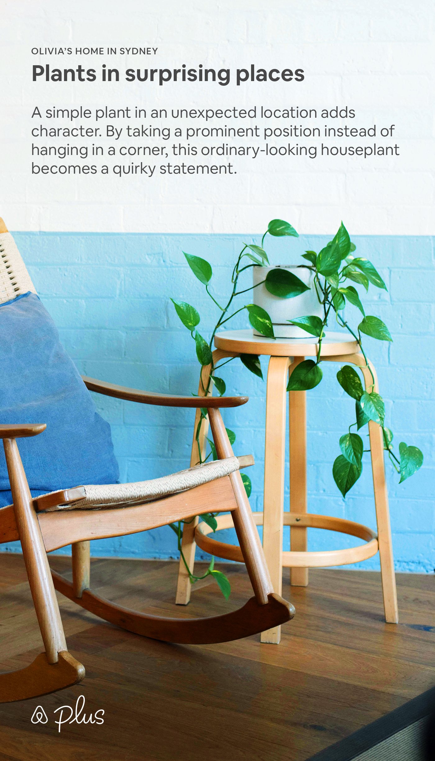 Pinterest_designonabudget_PlantsinSurprisingPlaces.jpg