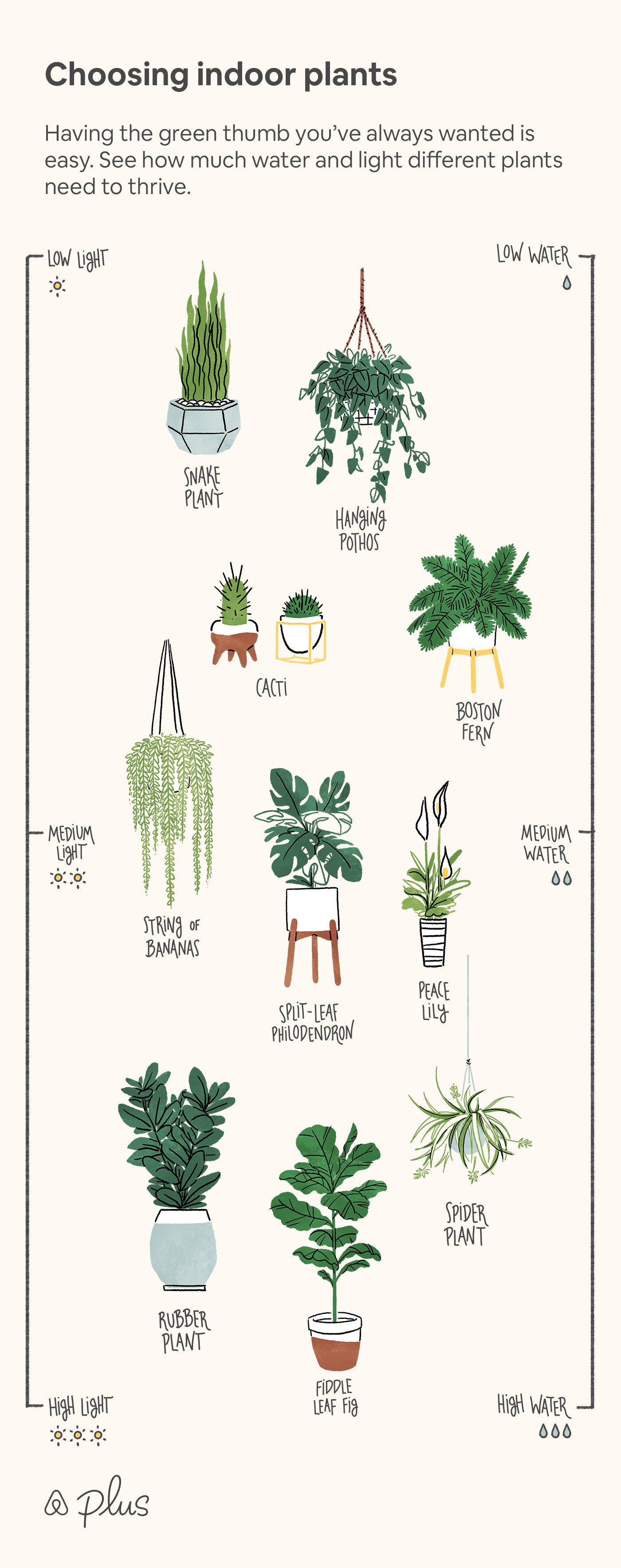 Pinterest_HowTo_ChoosingIndoorPlants.jpg
