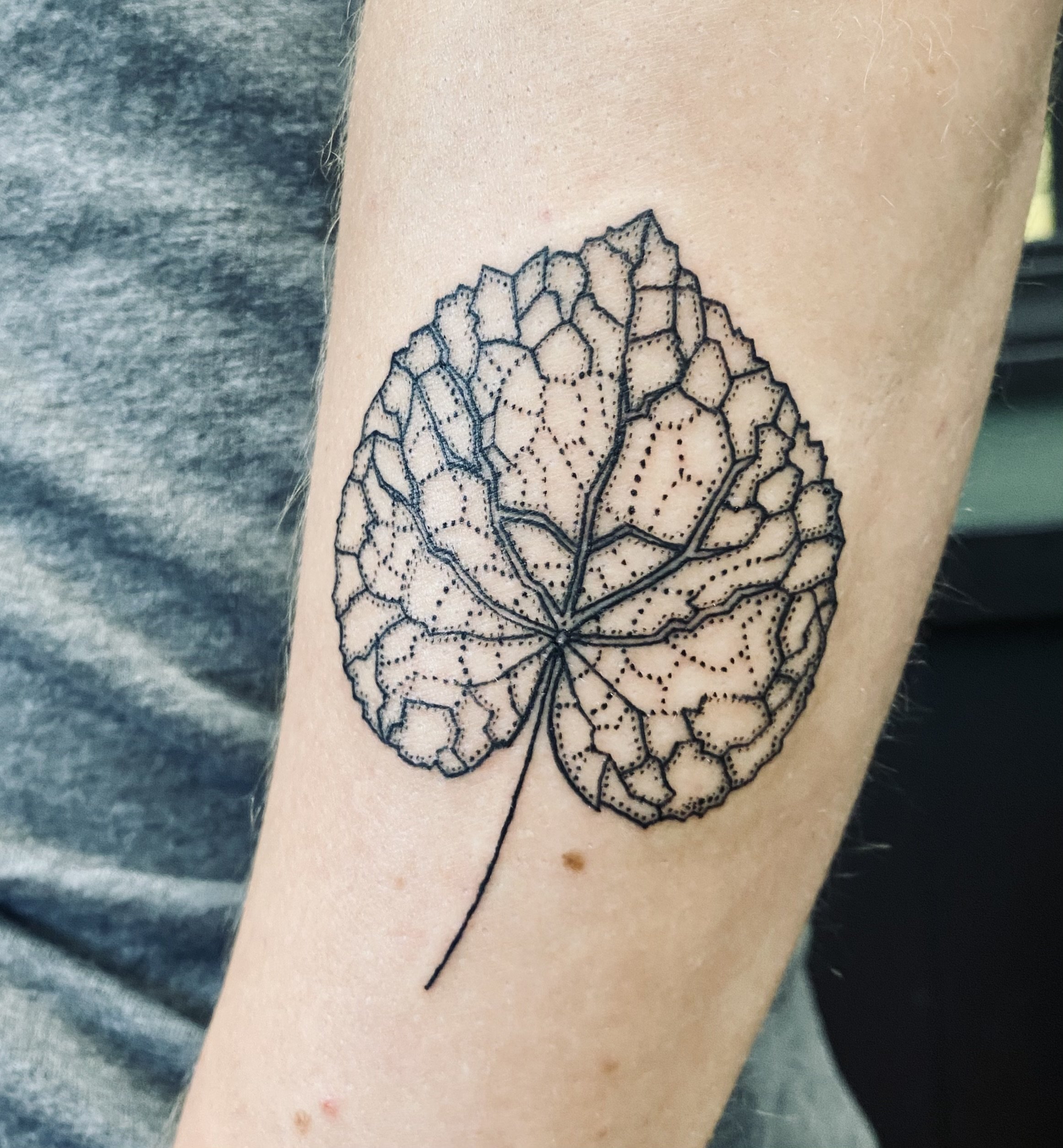 Single needle aspen leaf. Tattoo shared by caspermugridge (Best Tattoos) |  Cool tattoos, Tattoos, Leaf tattoos
