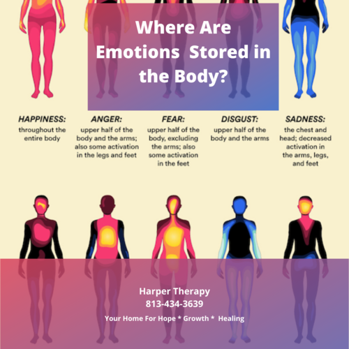 Emotions and The Body — Harper Therapy