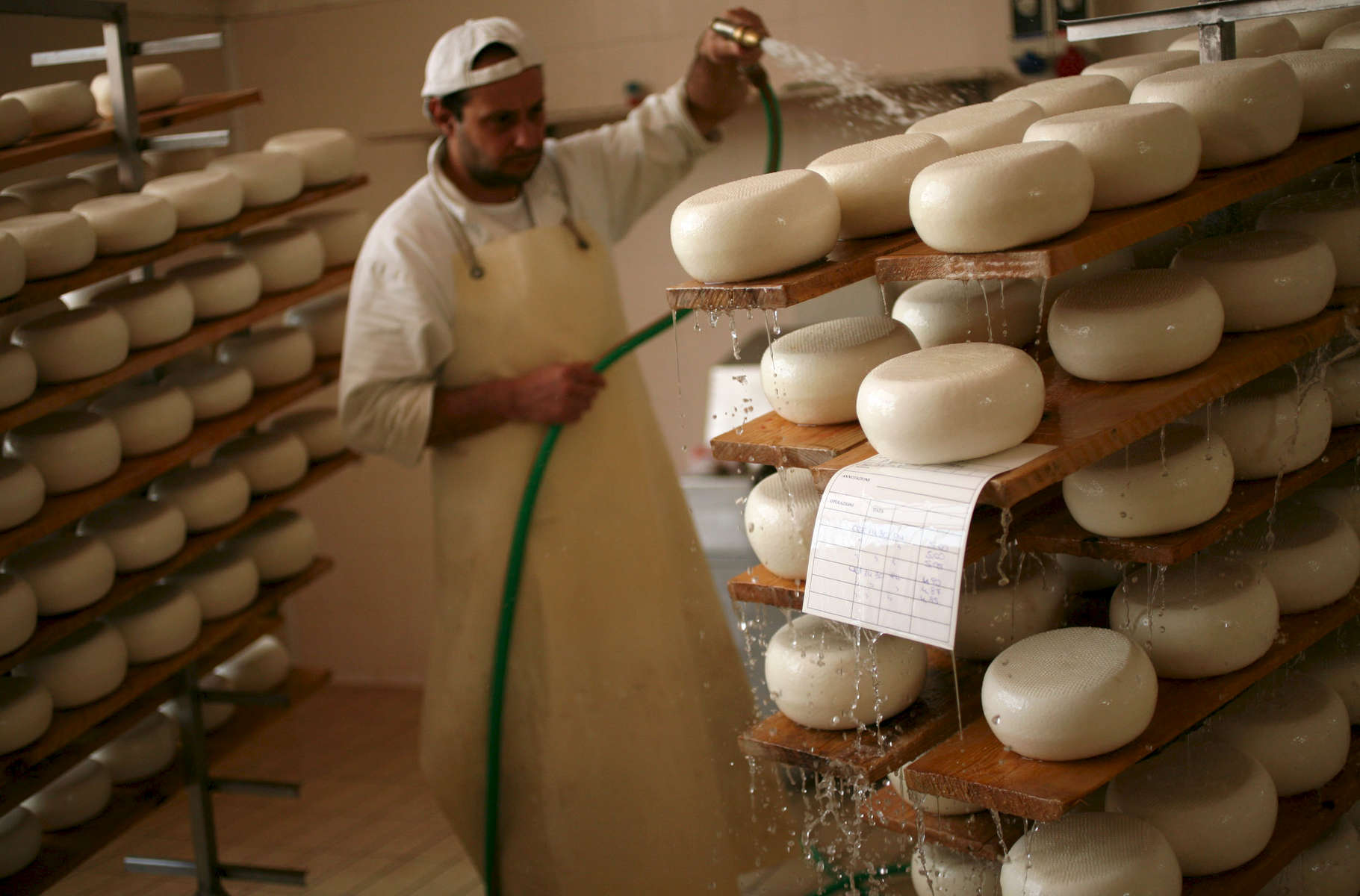 cheese-maker-artisan-1.jpg