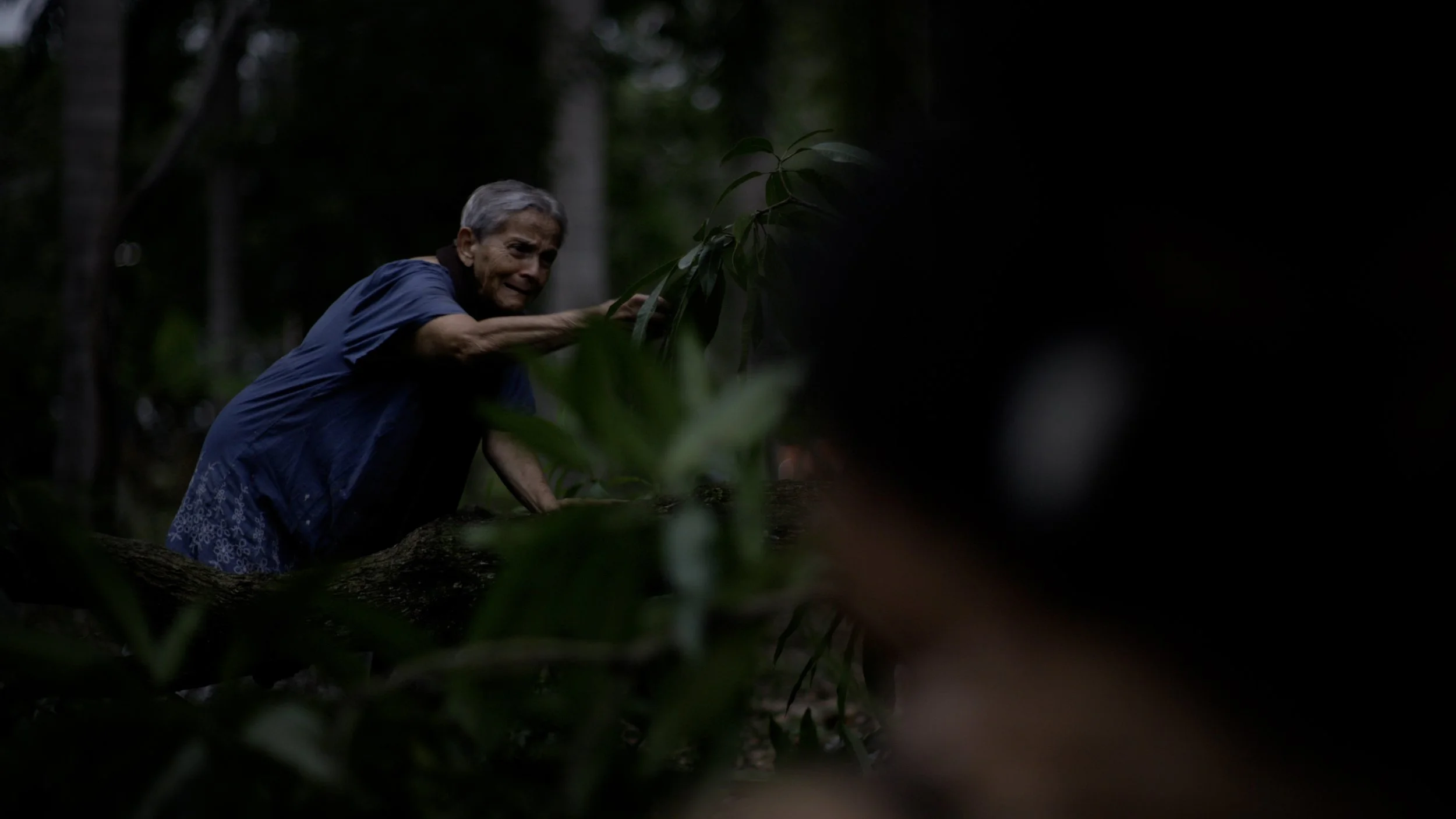 the-storm-and-the-tree_Film_Stills_02.JPG
