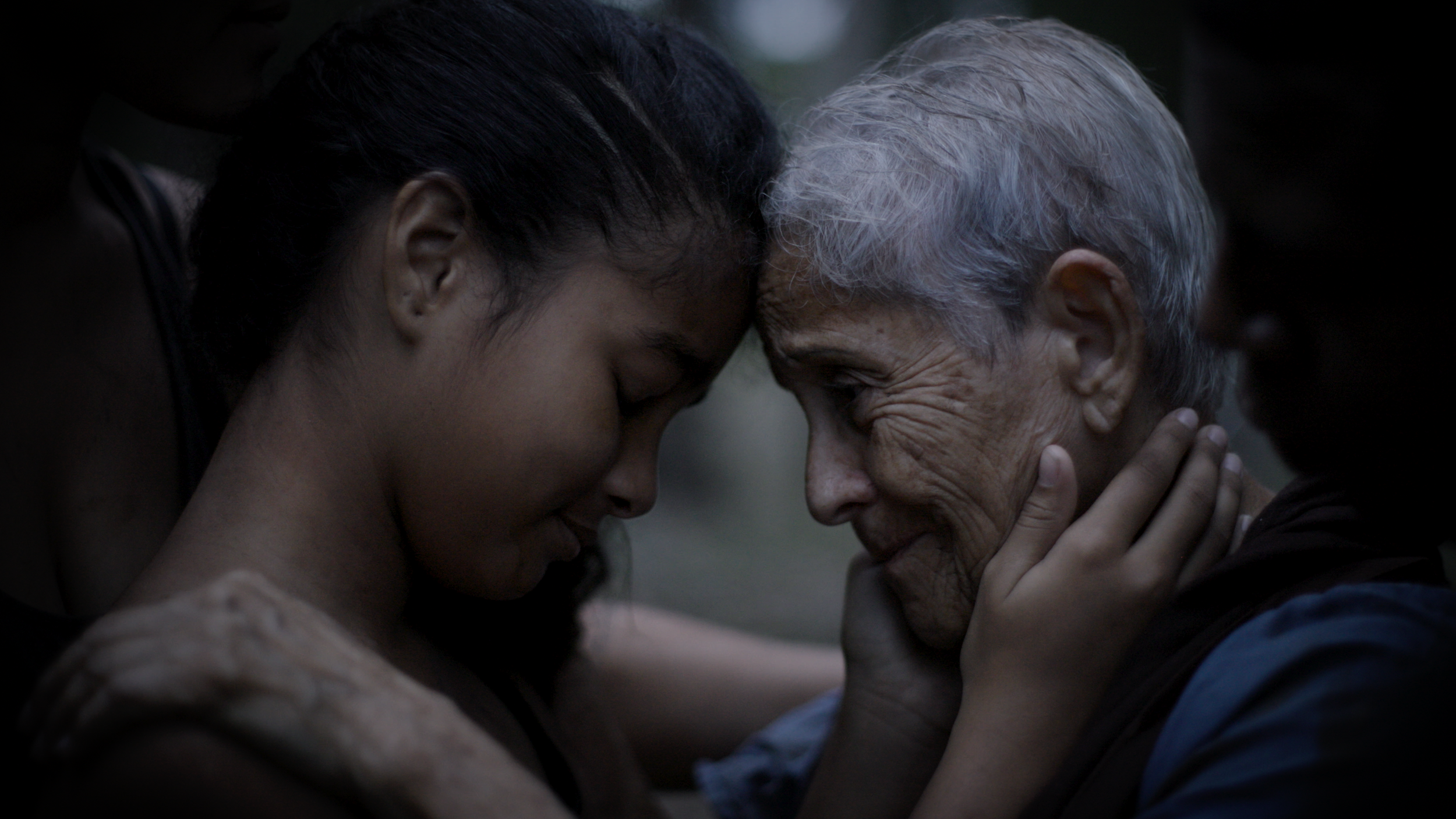 the-storm-and-the-tree_Film_Stills_04.PNG
