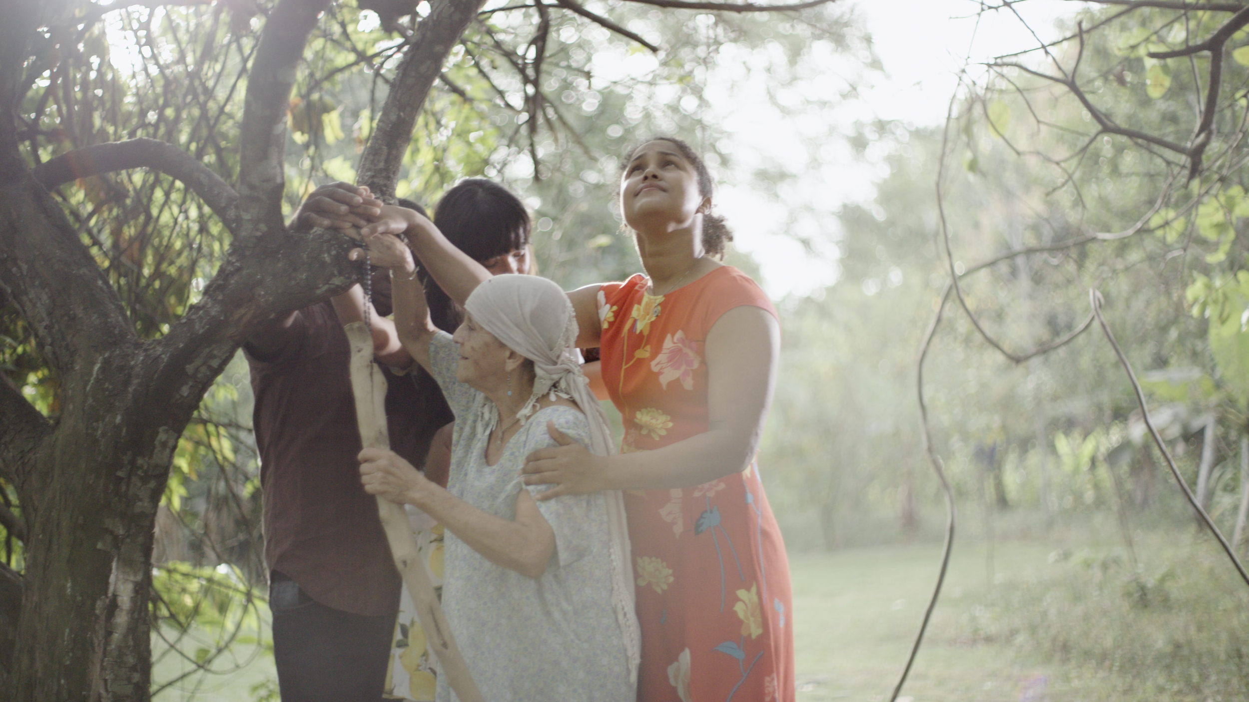 the-storm-and-the-tree_Film_Stills_11.PNG