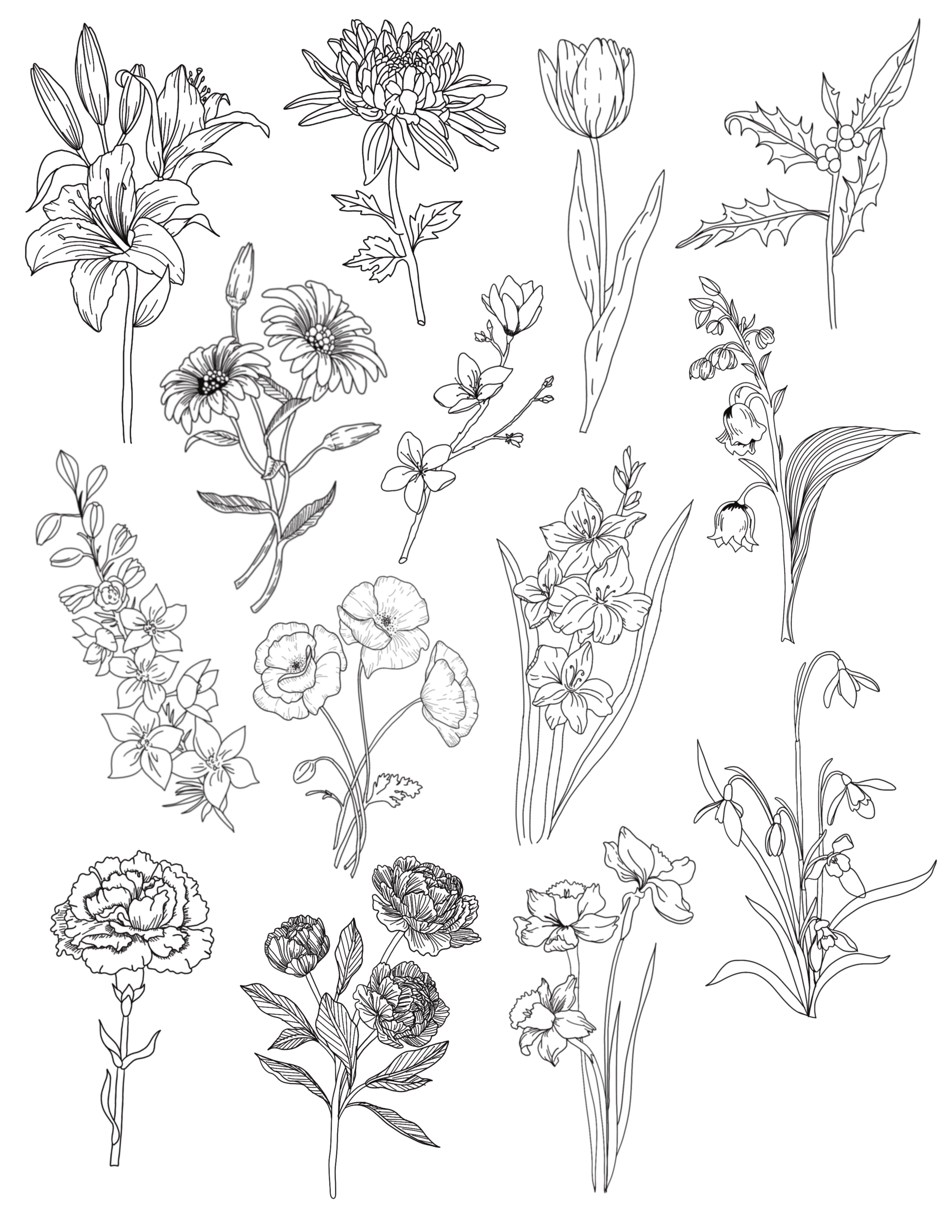 Untitled Artwork.png