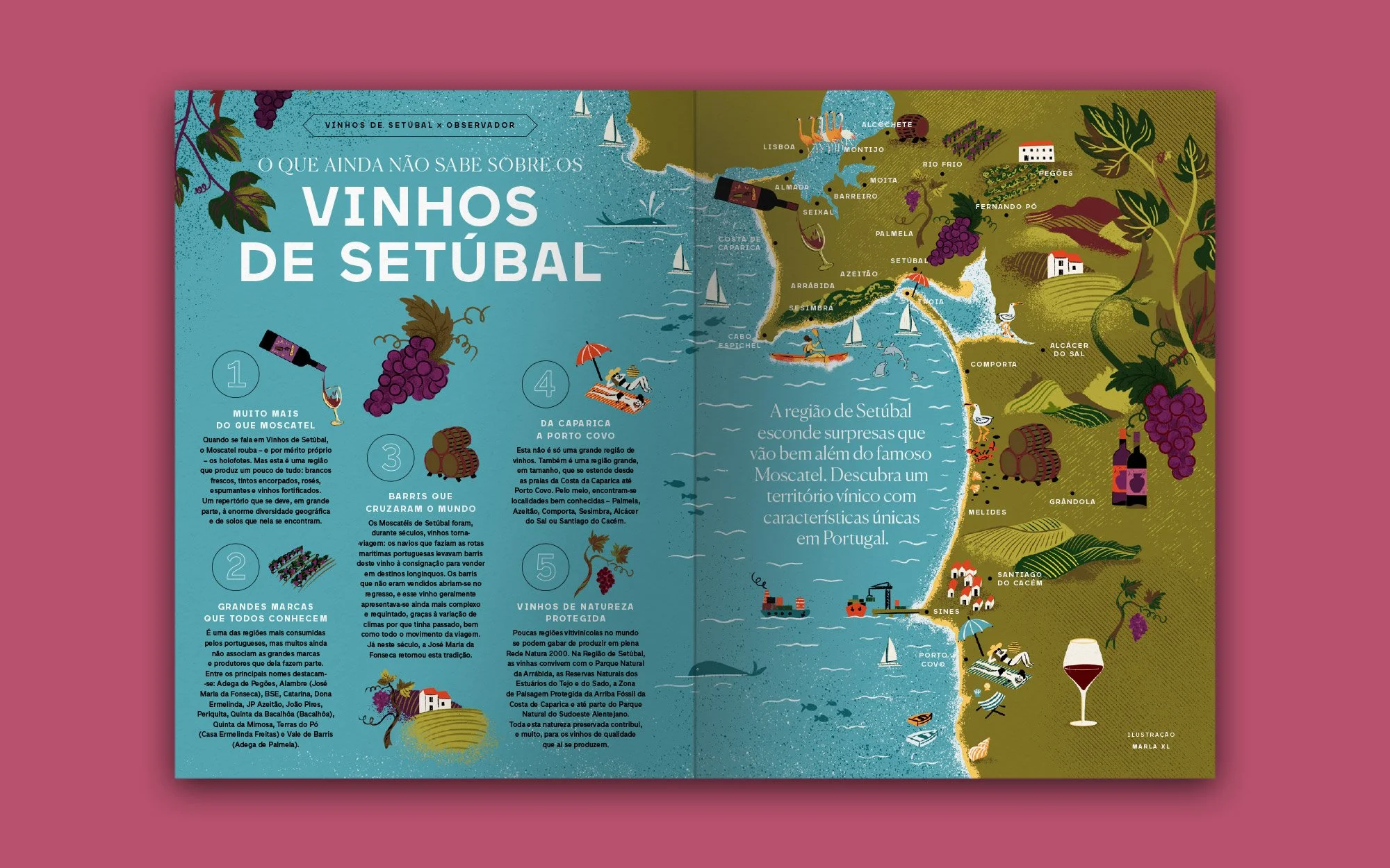 Setúbal Wine Region – Illustrated Map