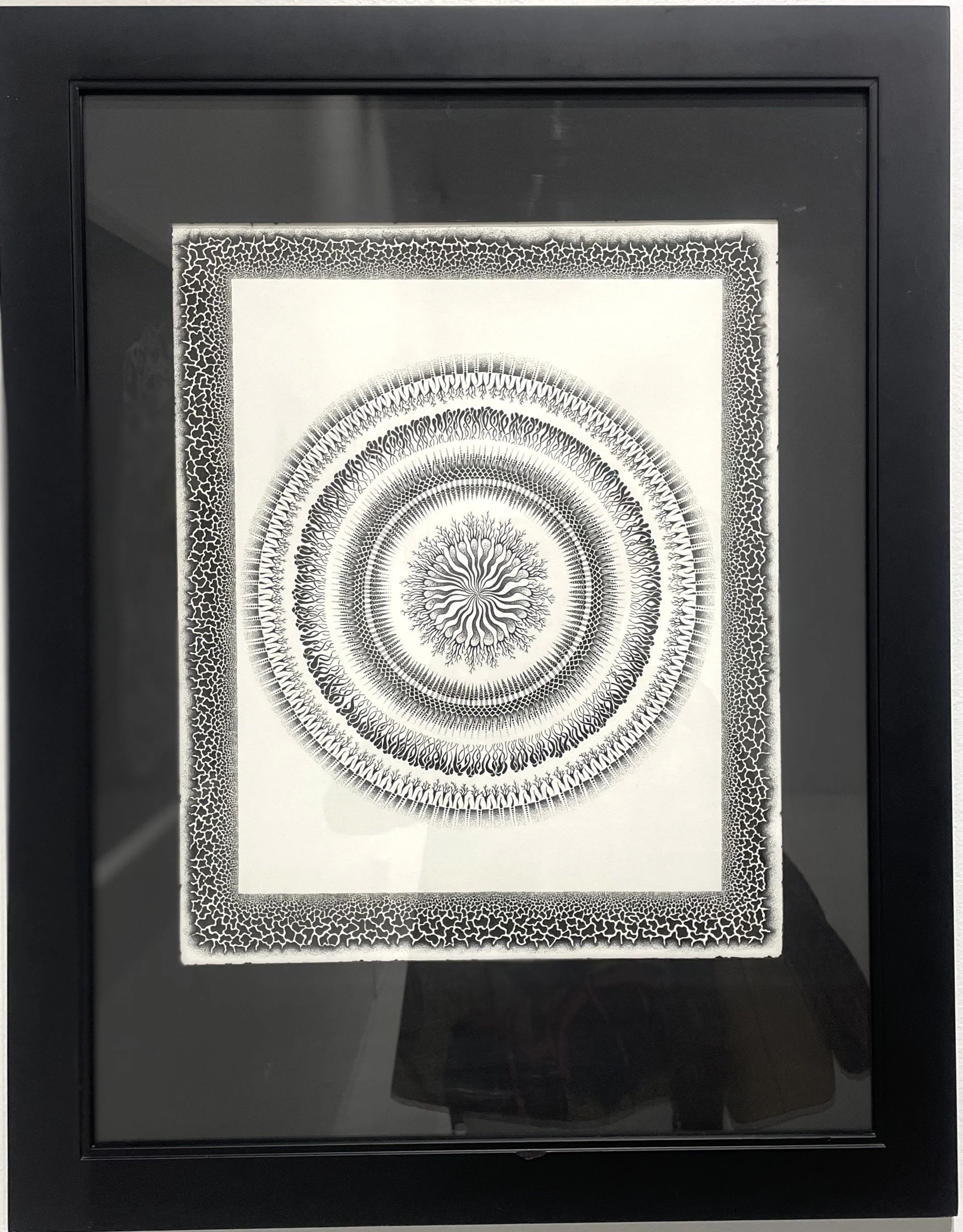 Adrienne Hills, Shimmer, 2026. Archival ink on Bristol.