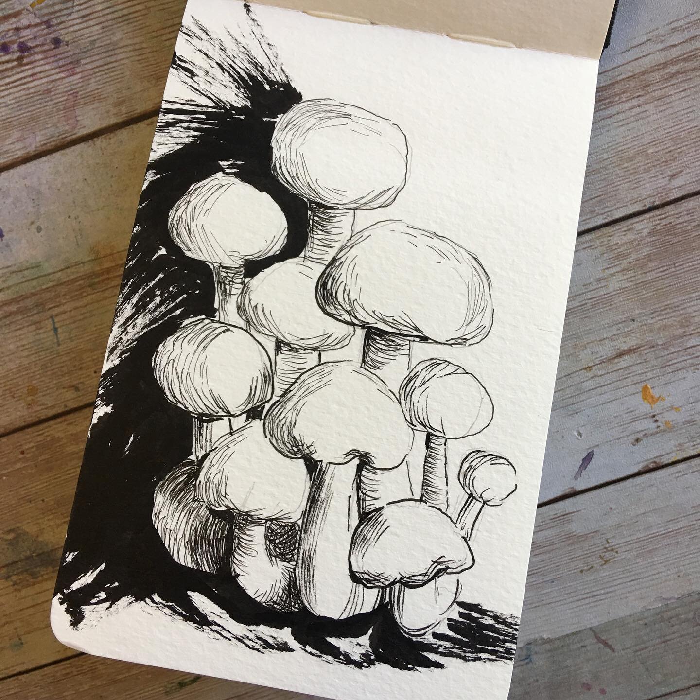#inktober #mushrooms #fungi #ink #micronpen #sakurapigmabrush #moleskine #artjournal #sketchbook #quicksketch #botanical #inktober2022