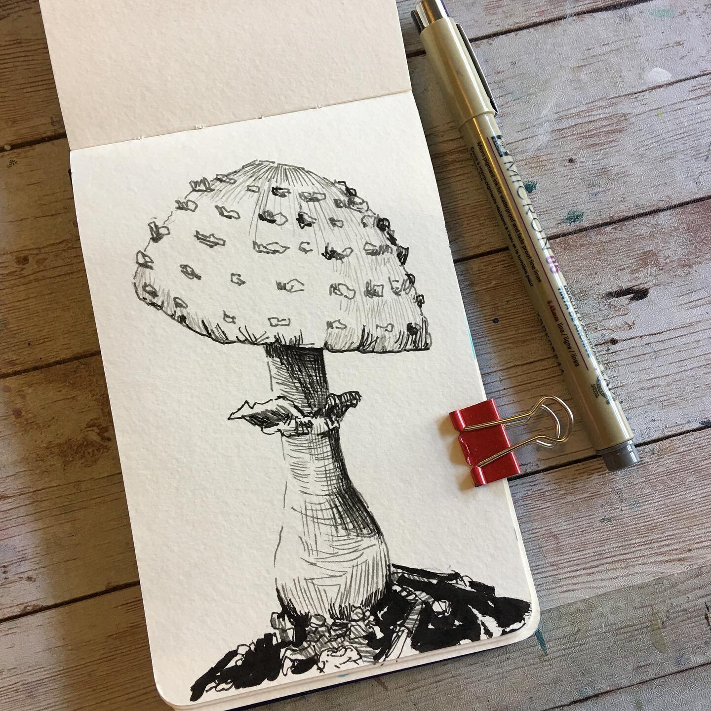 #inktober #mushroom #fungi #drawing #botanical #nature #sketchbook #moleskine