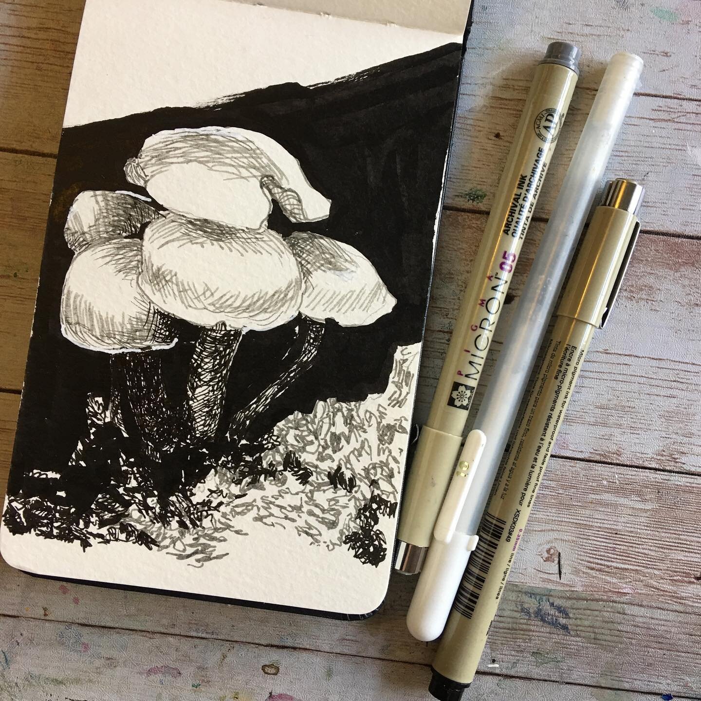 #inktober #botanical #fungi #mushroom #penandink #micronpen #moleskine #drawing #sketchbook #quicksketch 
A month of fungi continues
