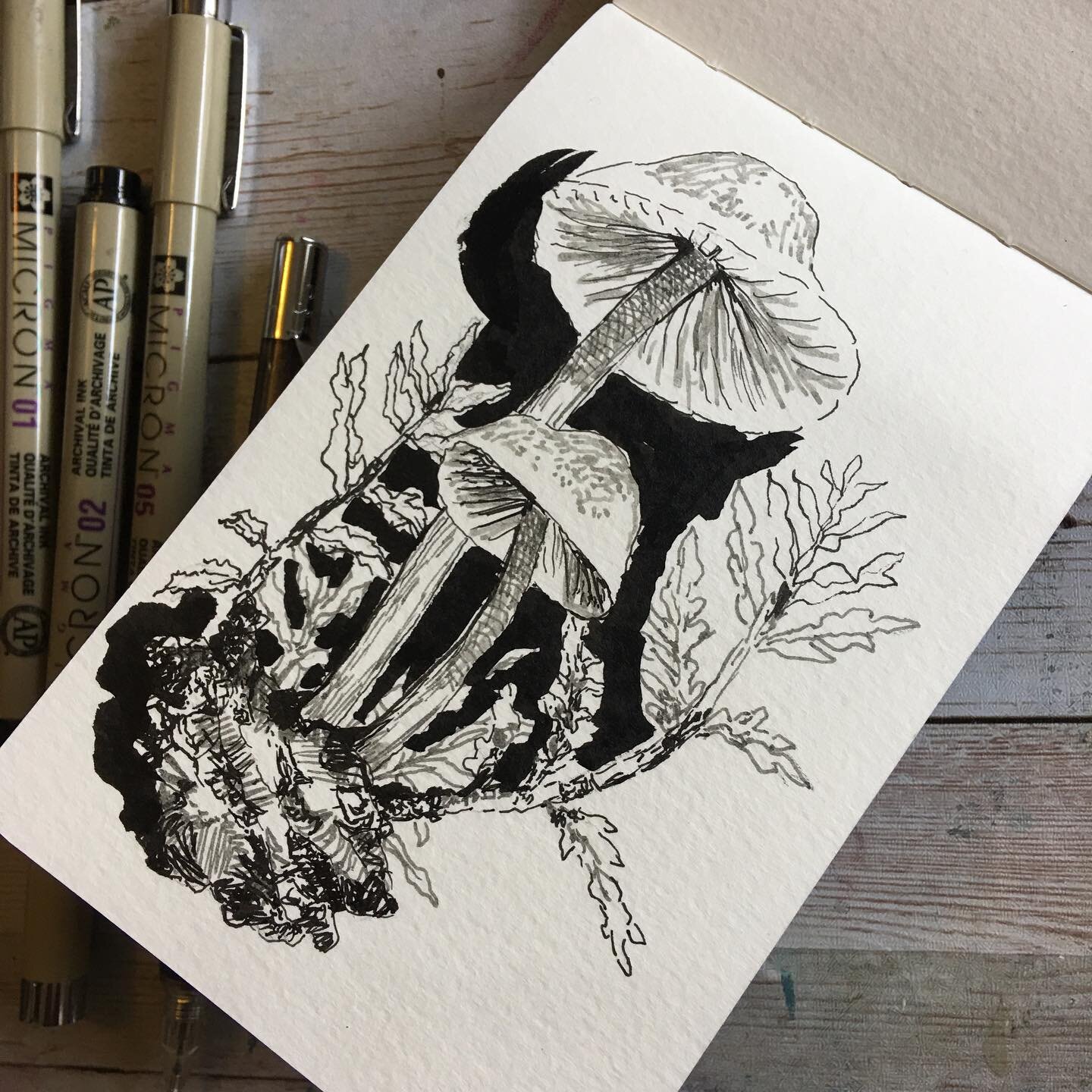 #inktober2022  #fungi #mushrooms #sketchbook #quicksketch #micronpen #doodle  going to shoot for daily inktober drawings and going to aim for #fungi and be happy if I stick to #botanicals working in a small #moleskine watercolor book to keep it doabl