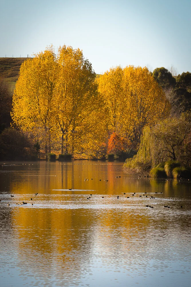 Lake (3 of 6).jpg